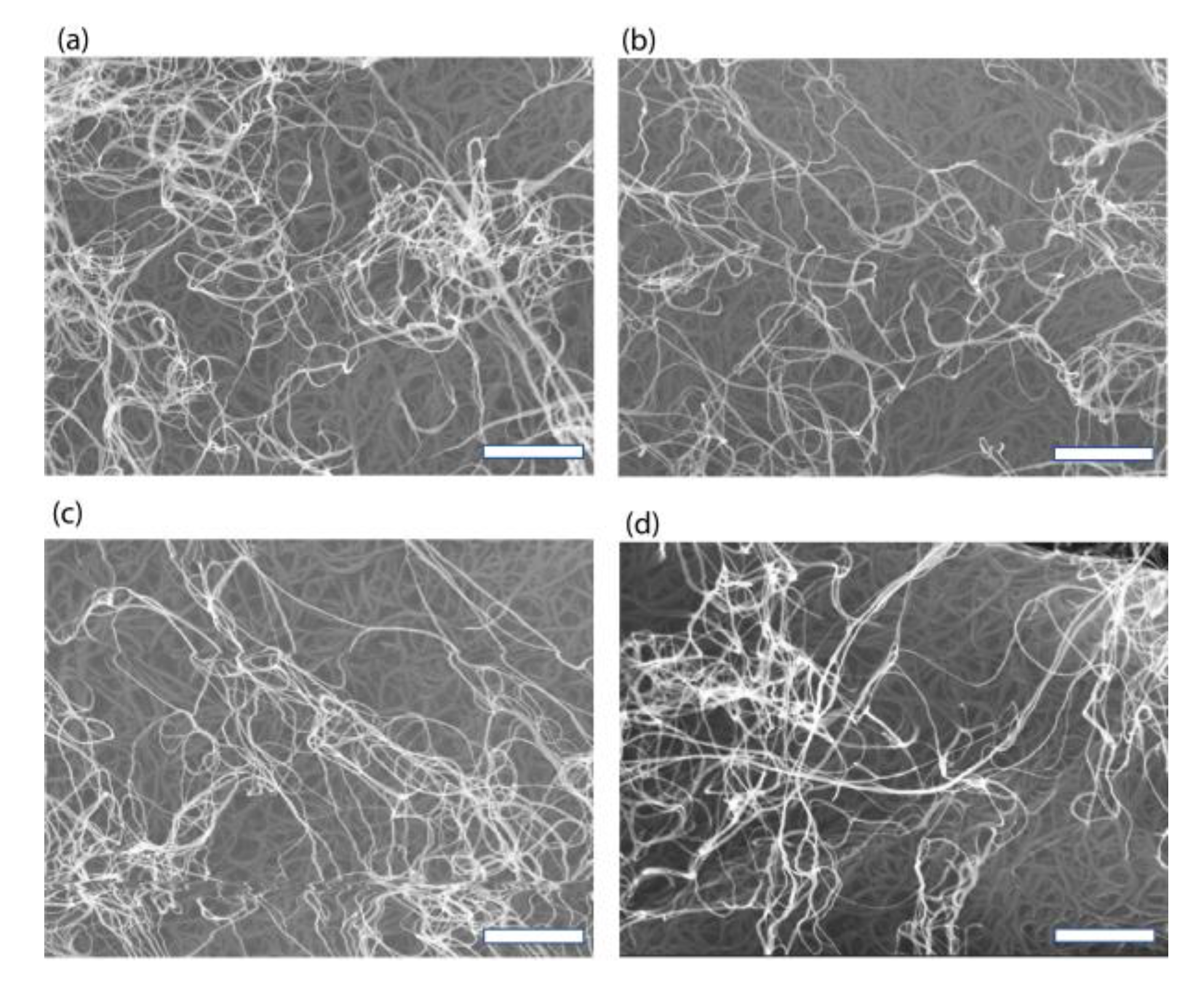 Nanomaterials 13 01749 g003a Nanomaterials 13 01749 g003a