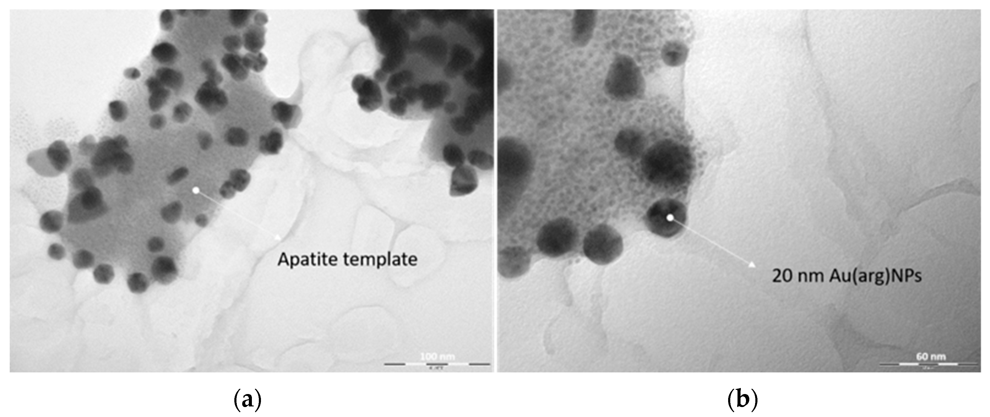 Nanomaterials 13 01752 g003 Nanomaterials 13 01752 g003