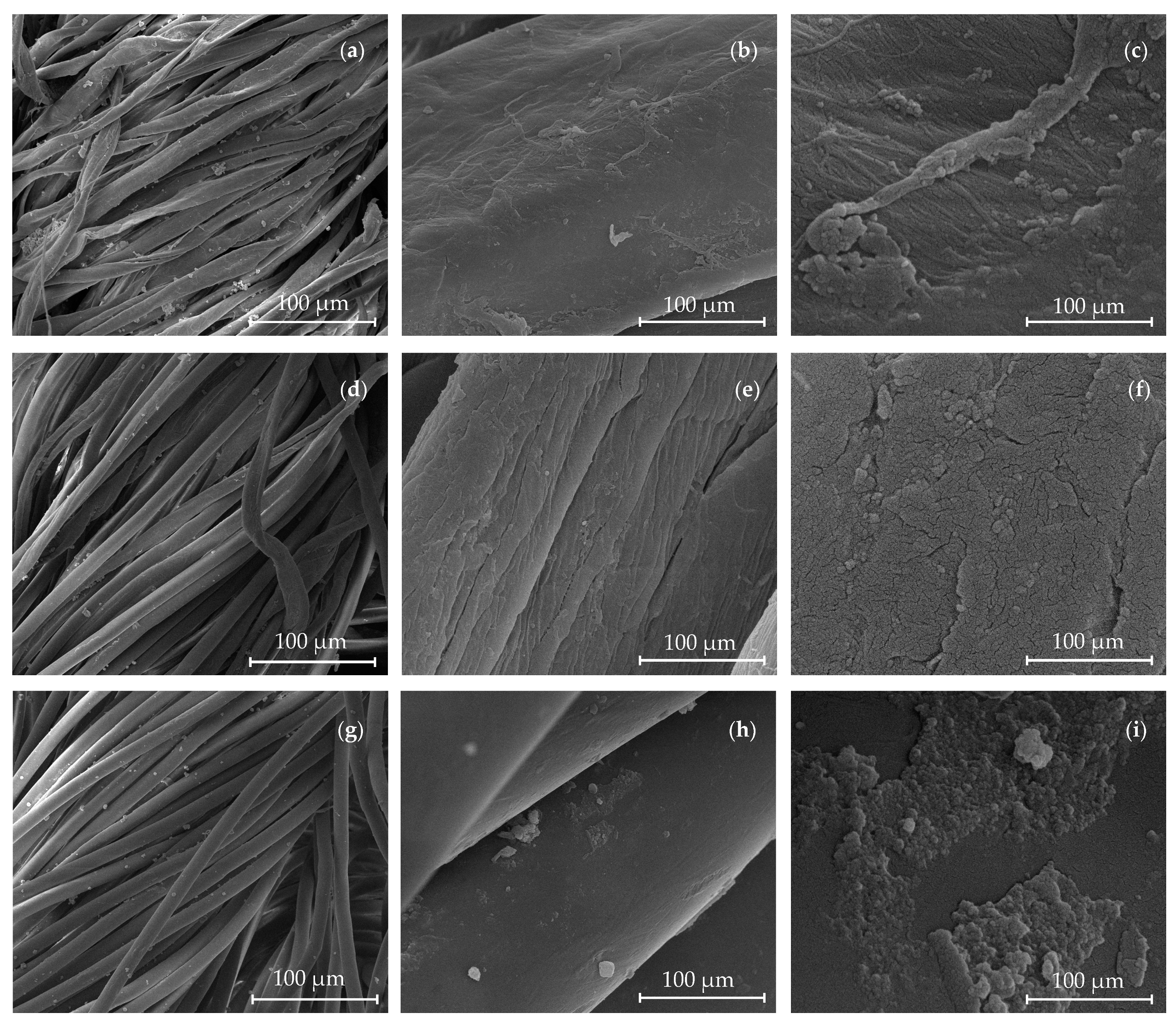 Nanomaterials 13 01752 g014 Nanomaterials 13 01752 g014