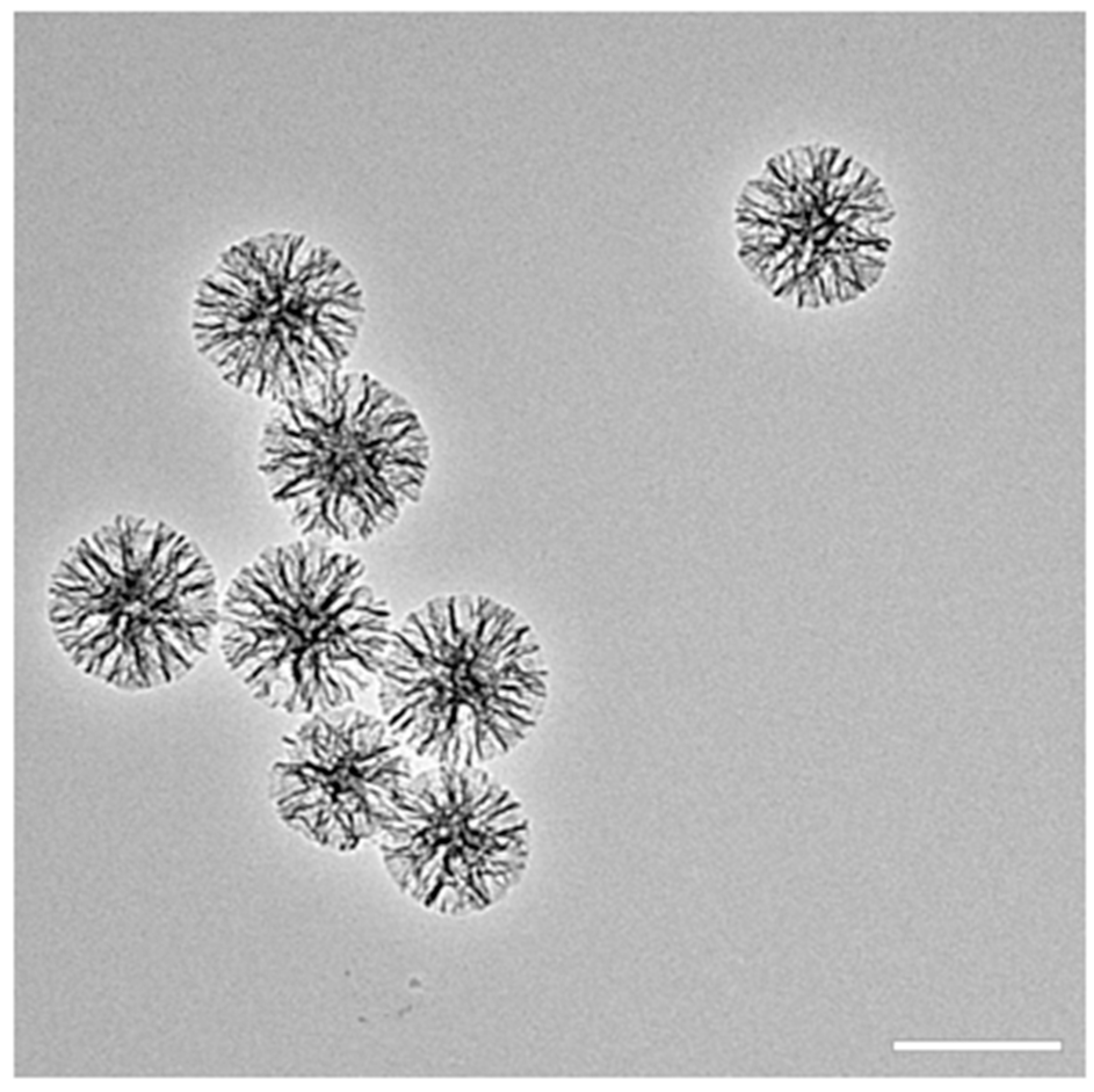 Nanomaterials 13 01755 g001 Nanomaterials 13 01755 g001