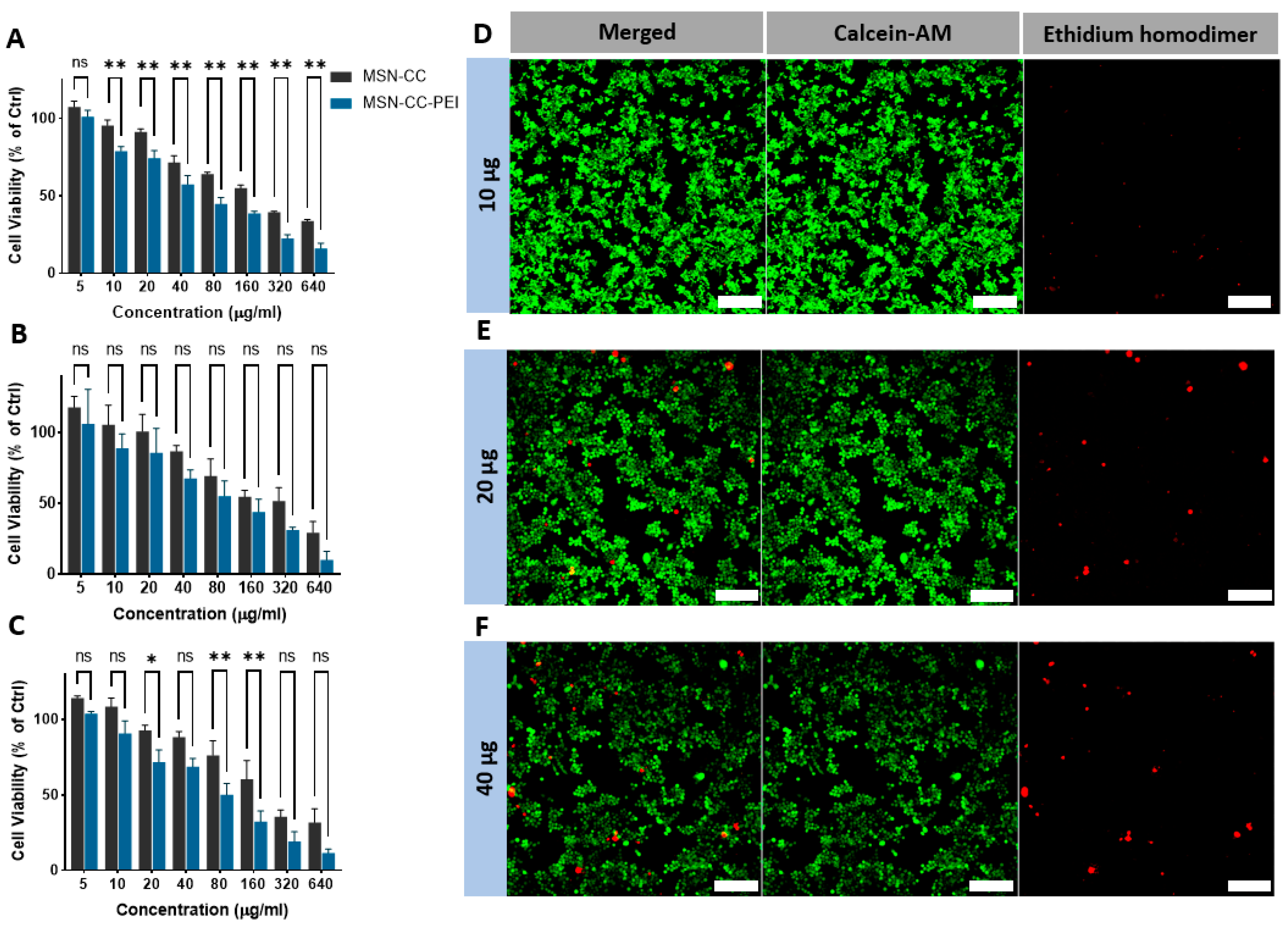Nanomaterials 13 01755 g002 Nanomaterials 13 01755 g002
