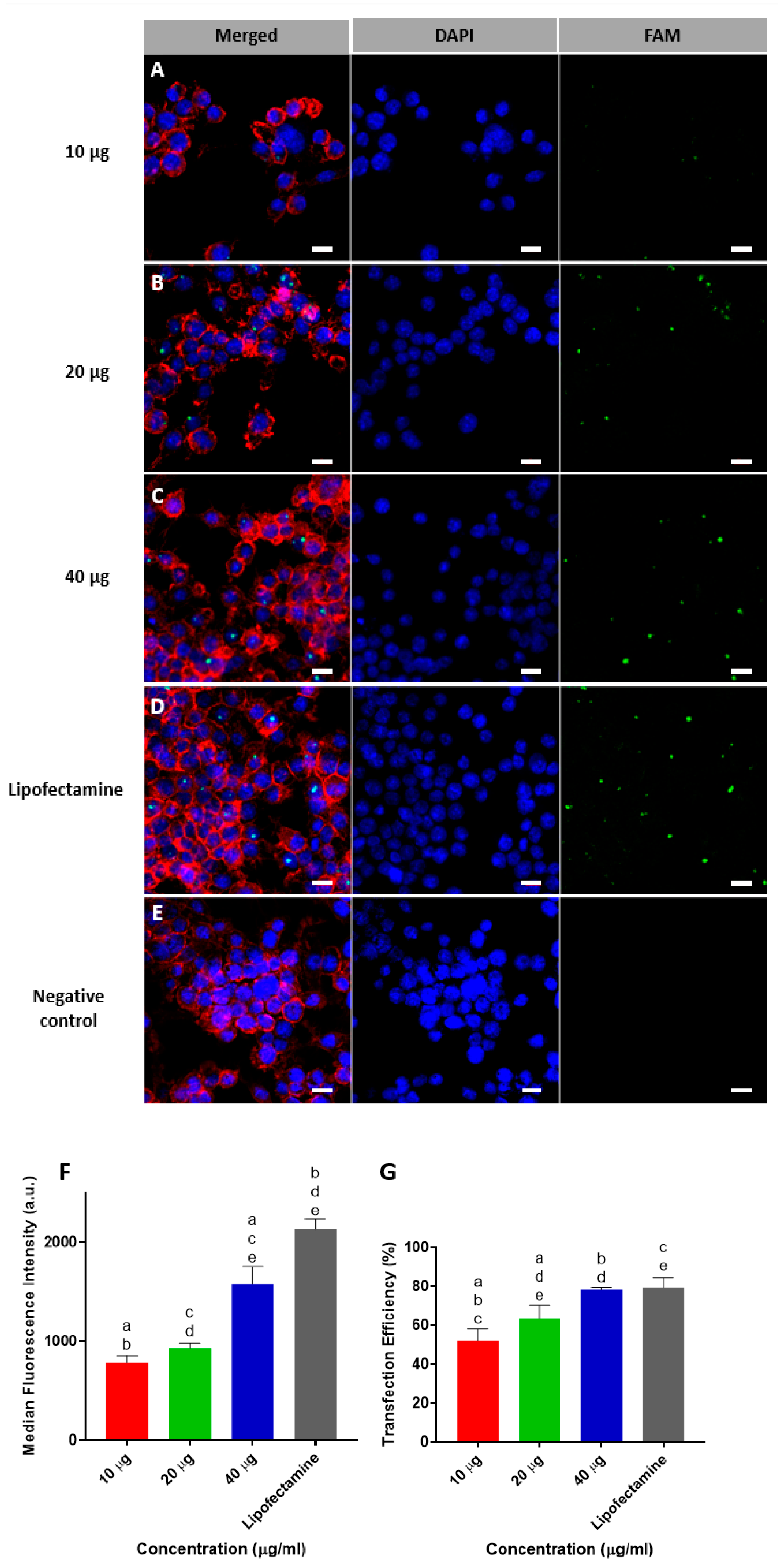 Nanomaterials 13 01755 g003 Nanomaterials 13 01755 g003