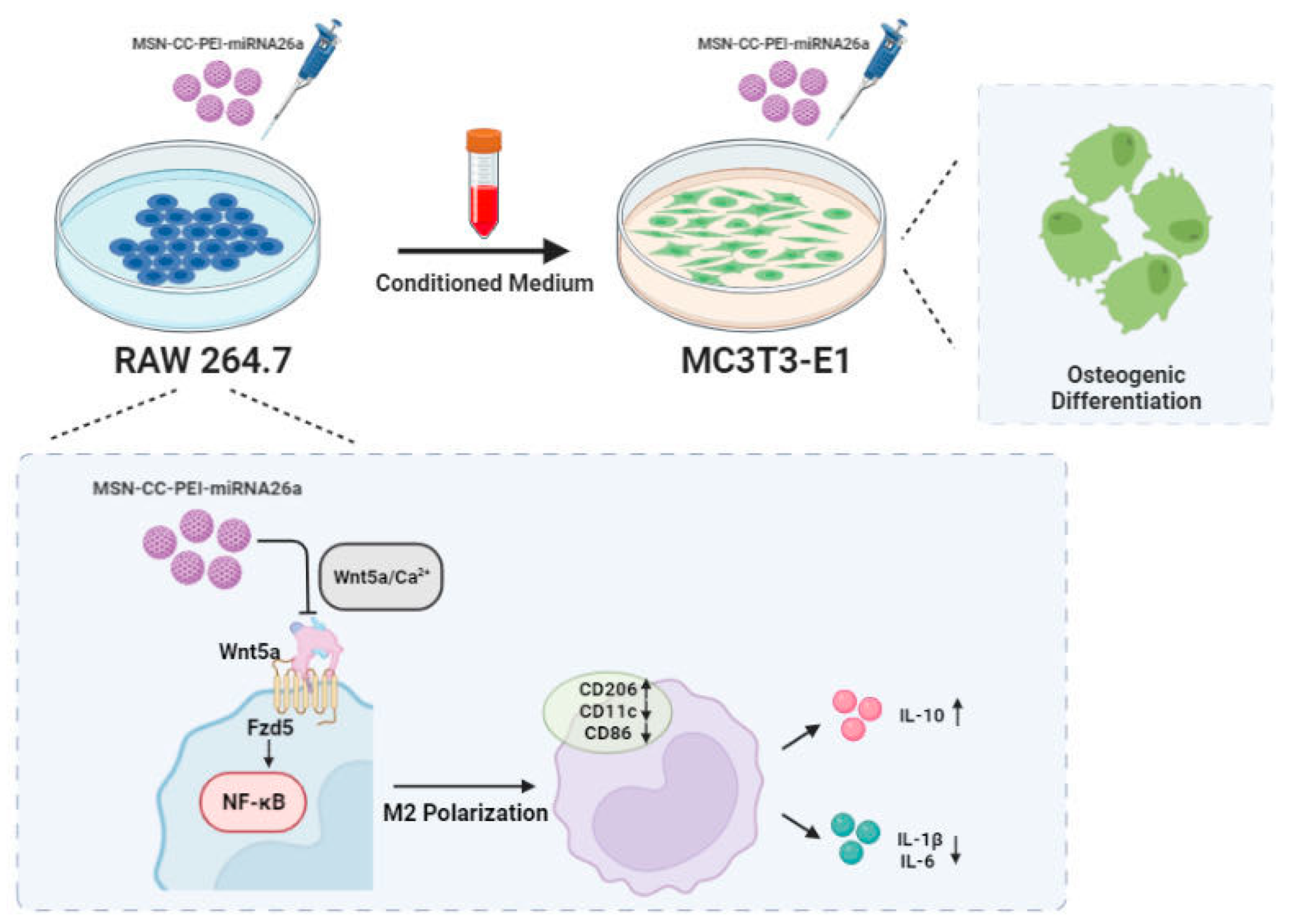 Nanomaterials 13 01755 g007 Nanomaterials 13 01755 g007