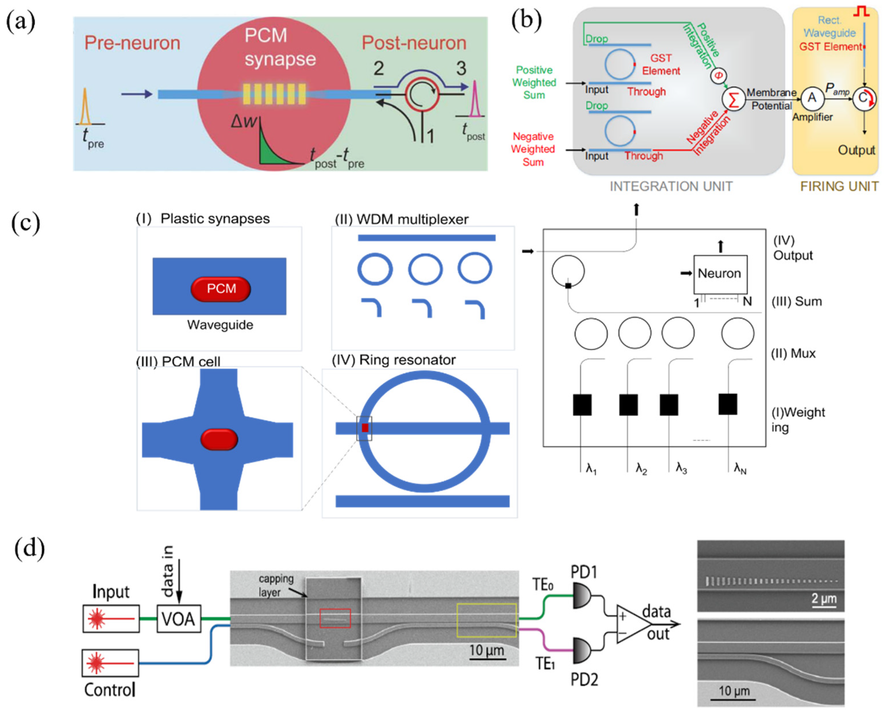 Nanomaterials 13 01756 g004