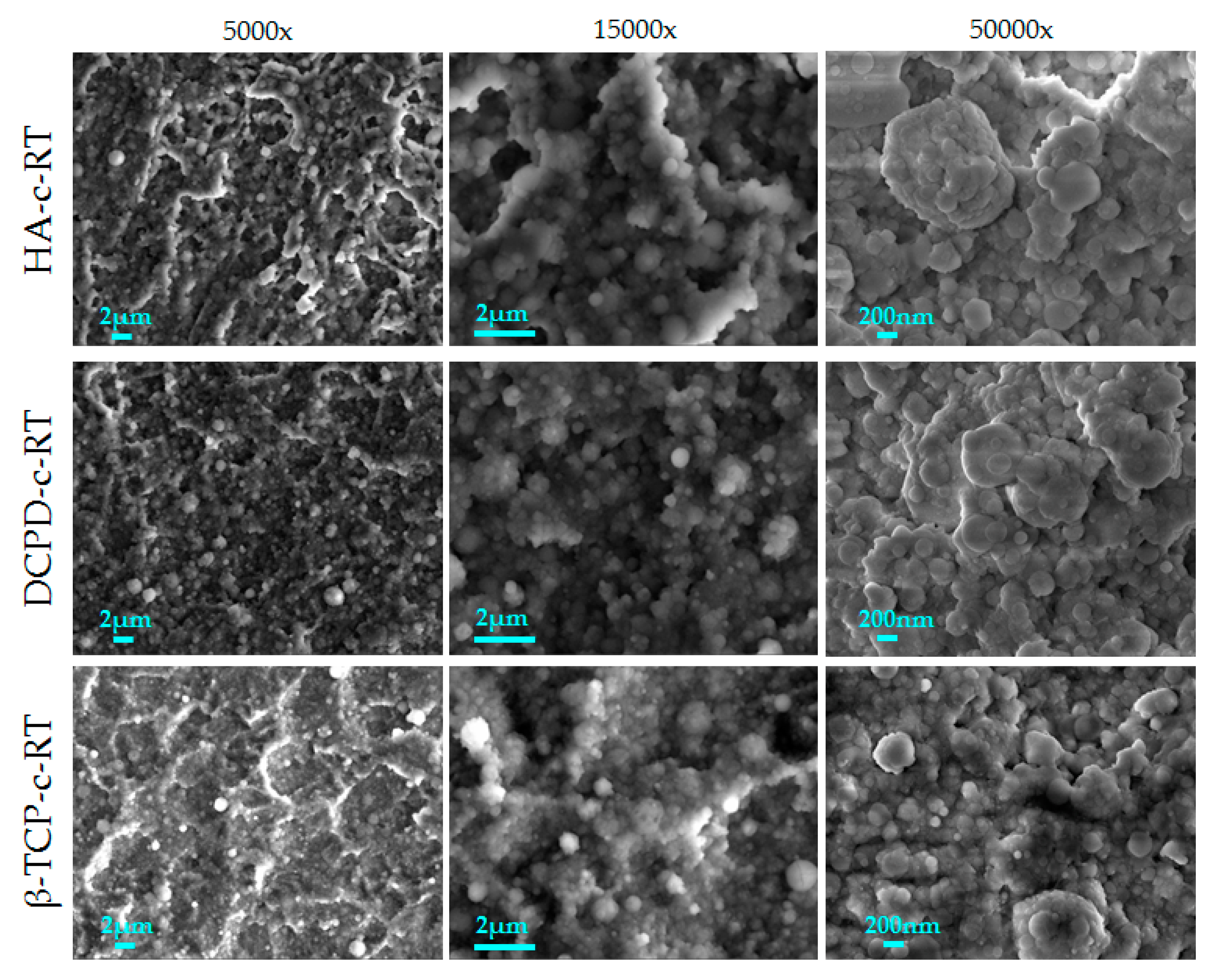 Nanomaterials 13 01758 g002