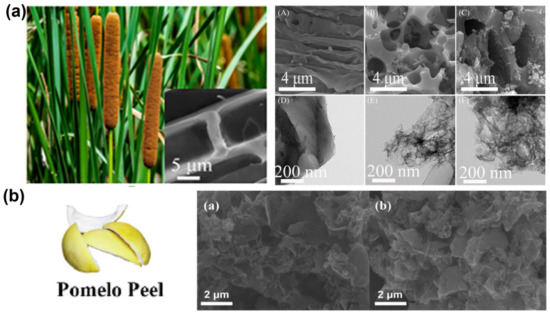 Green Production of Biomass-Derived Carbon Materials for Green Production of Biomass-Derived Carbon Materials for