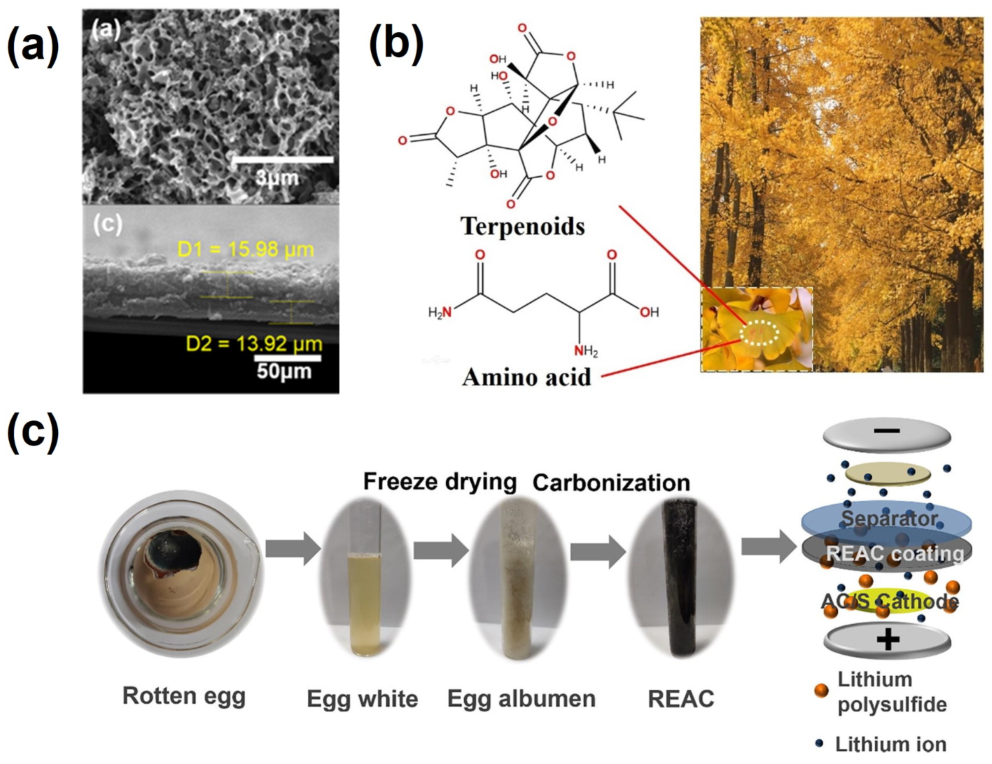 Nanomaterials 13 01768 g012 Nanomaterials 13 01768 g012