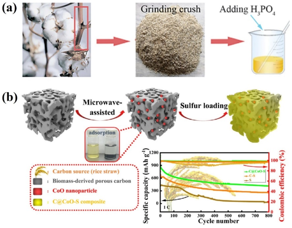 Nanomaterials 13 01768 g014 Nanomaterials 13 01768 g014