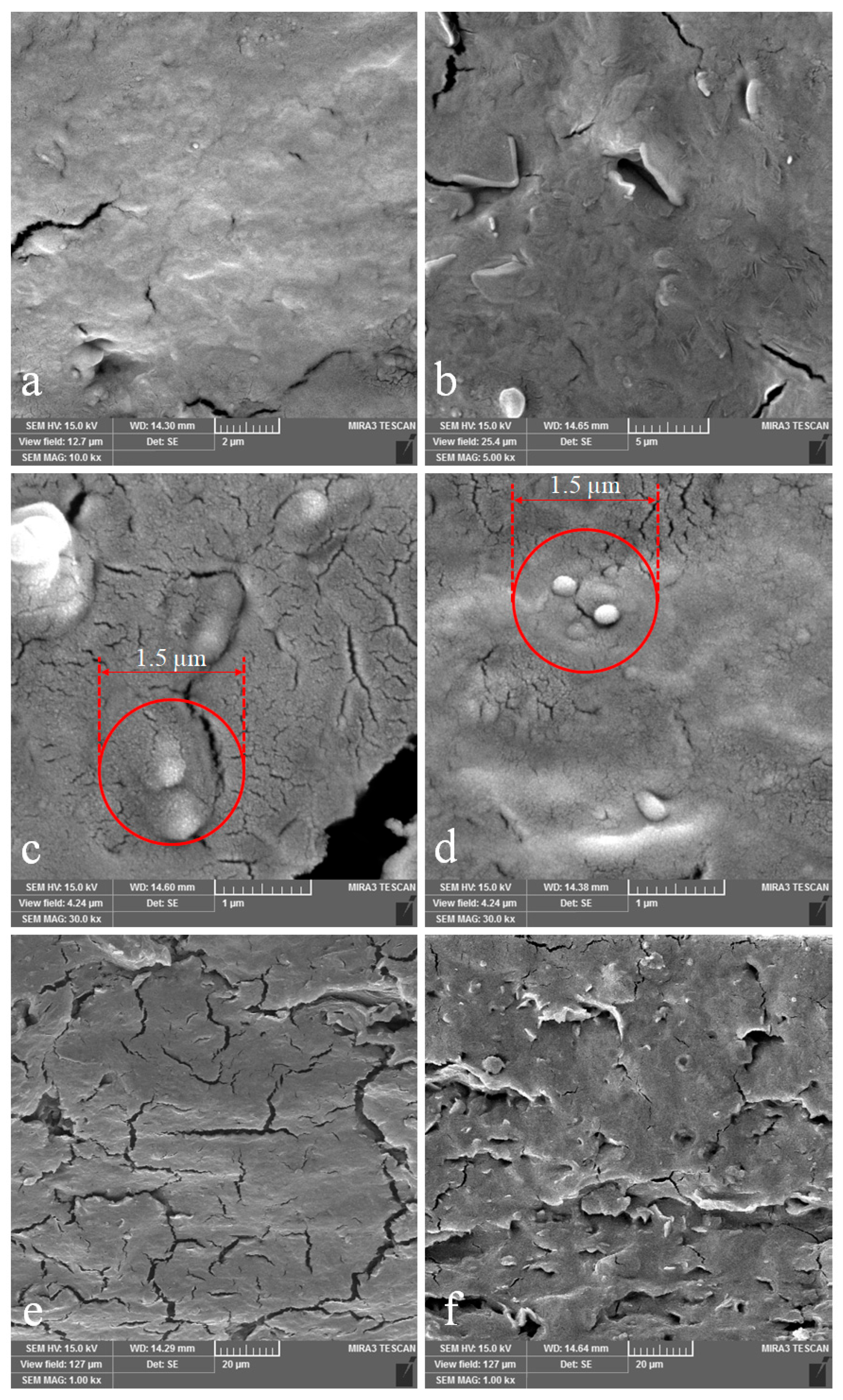 Nanomaterials 13 01769 g004
