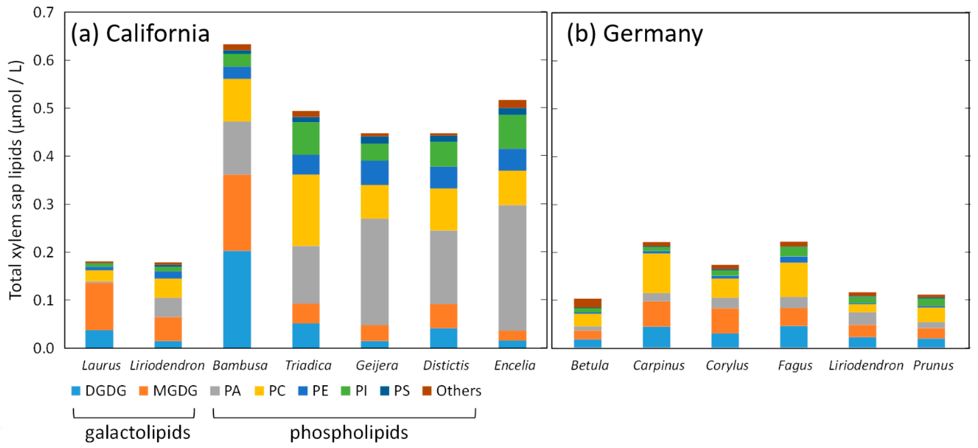 Nanomaterials 13 01776 g003 Nanomaterials 13 01776 g003