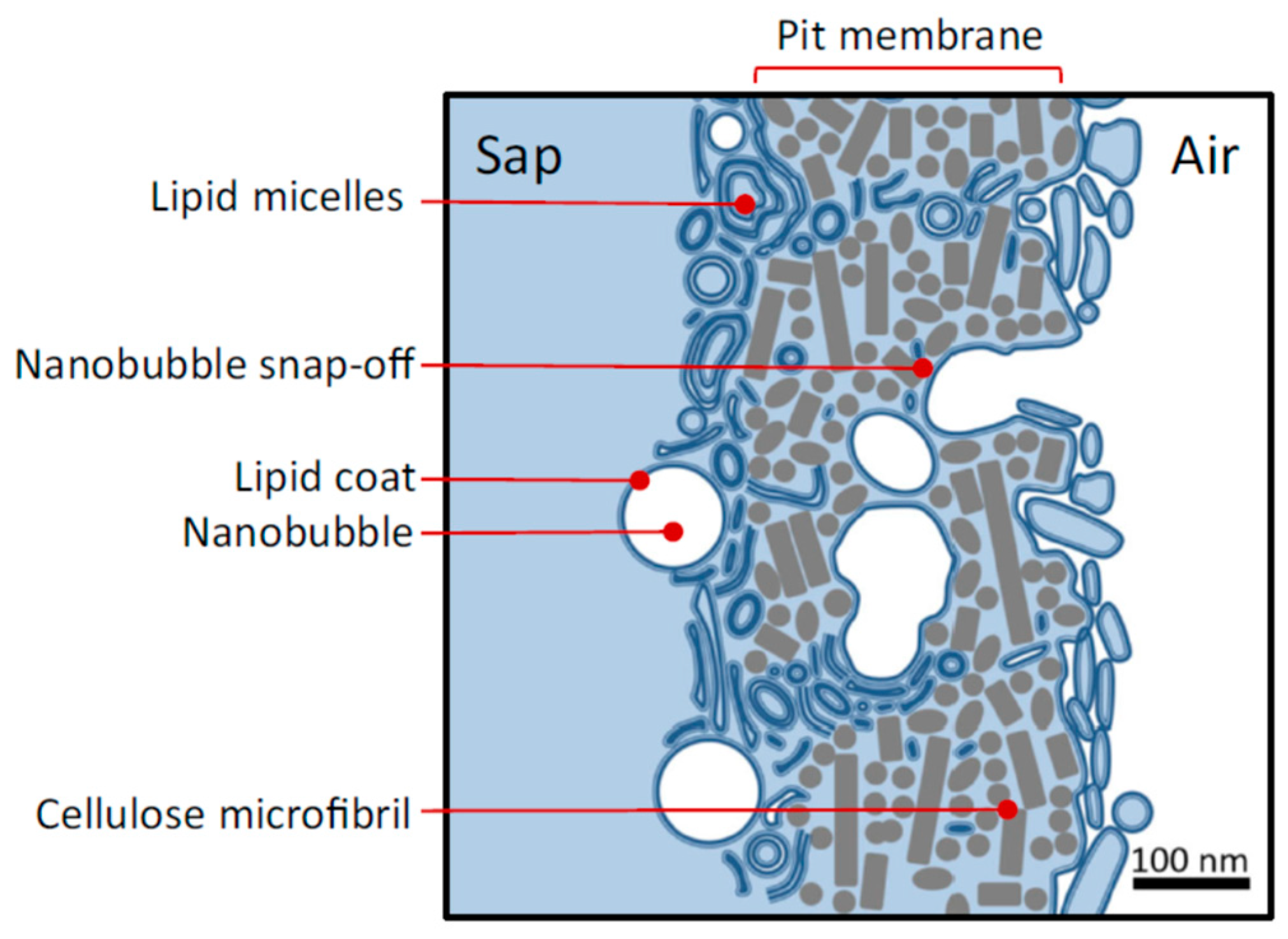 Nanomaterials 13 01776 g004 Nanomaterials 13 01776 g004