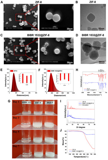 Zeolitic Imidazolate Framework-8 (ZIF-8) as a Drug Delivery