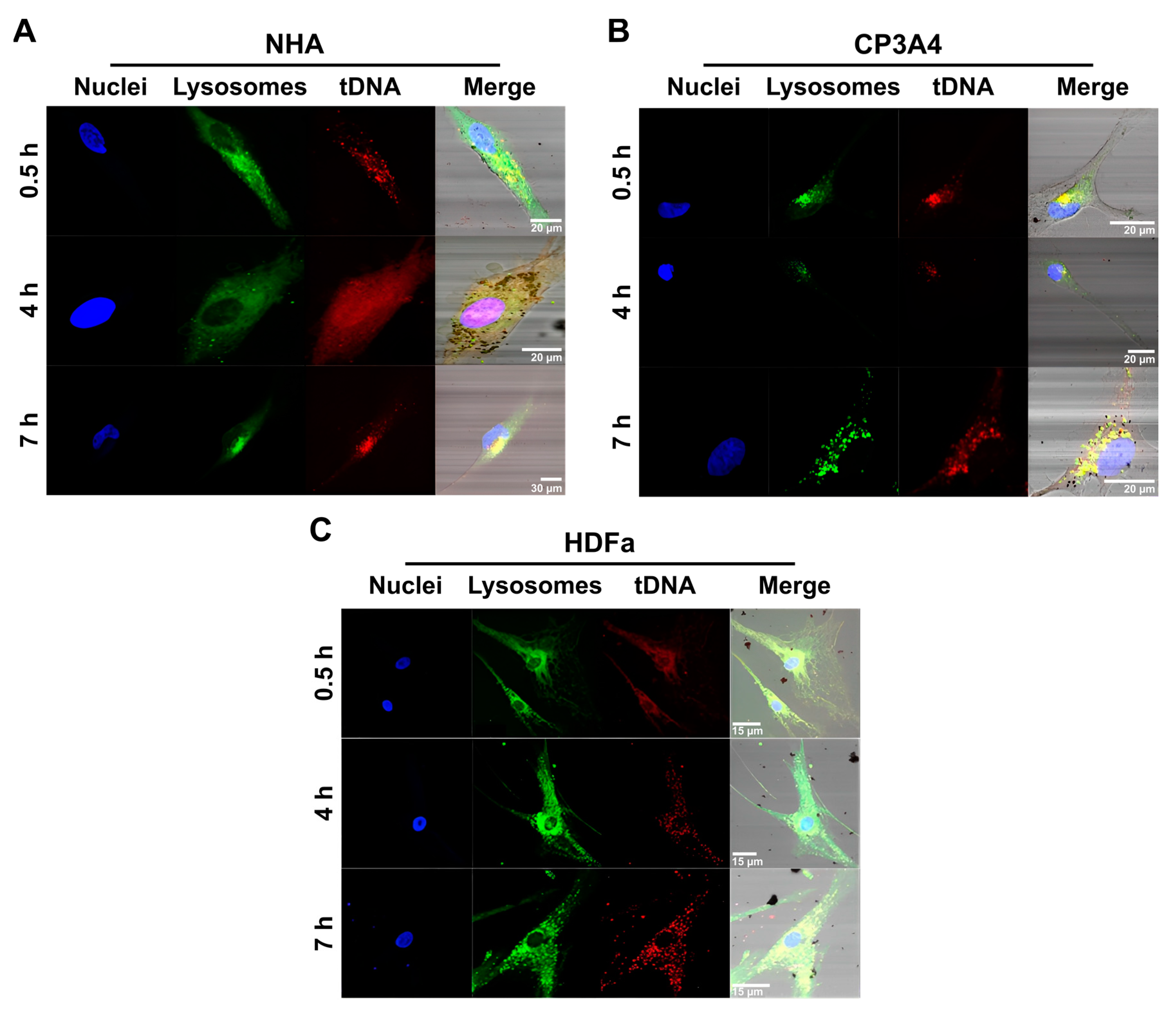 Nanomaterials 13 01782 g005 Nanomaterials 13 01782 g005