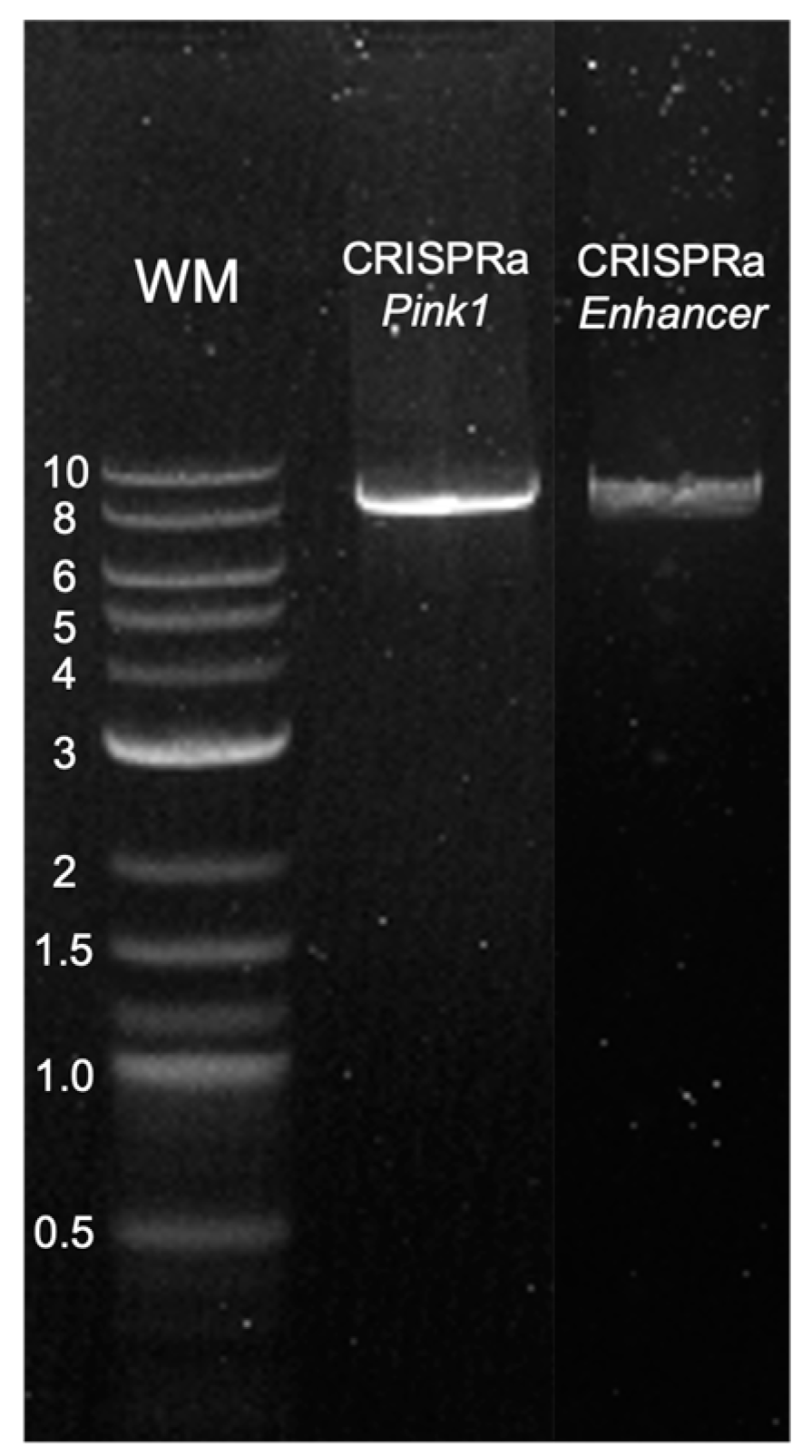 Nanomaterials 13 01782 g0a1 Nanomaterials 13 01782 g0a1