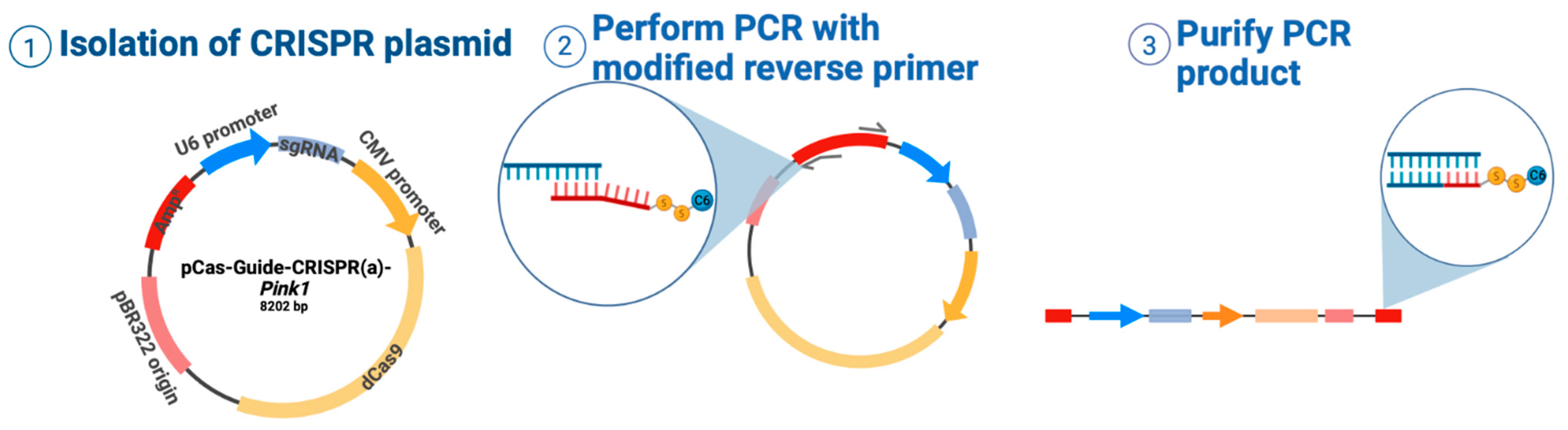 Nanomaterials 13 01782 sch001 Nanomaterials 13 01782 sch001