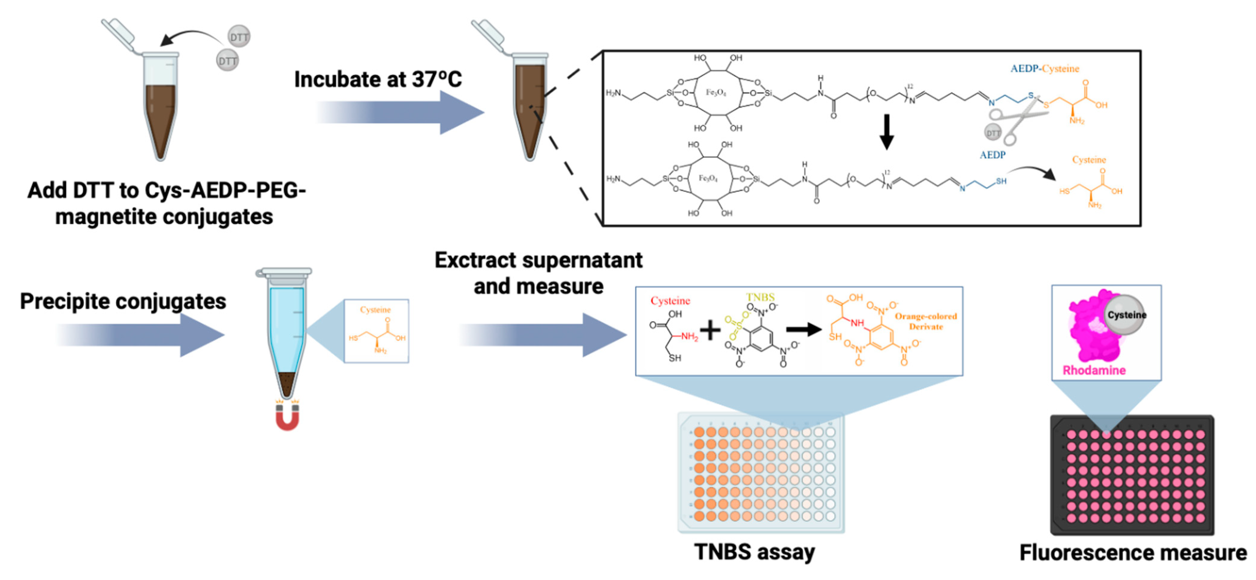 Nanomaterials 13 01782 sch004 Nanomaterials 13 01782 sch004