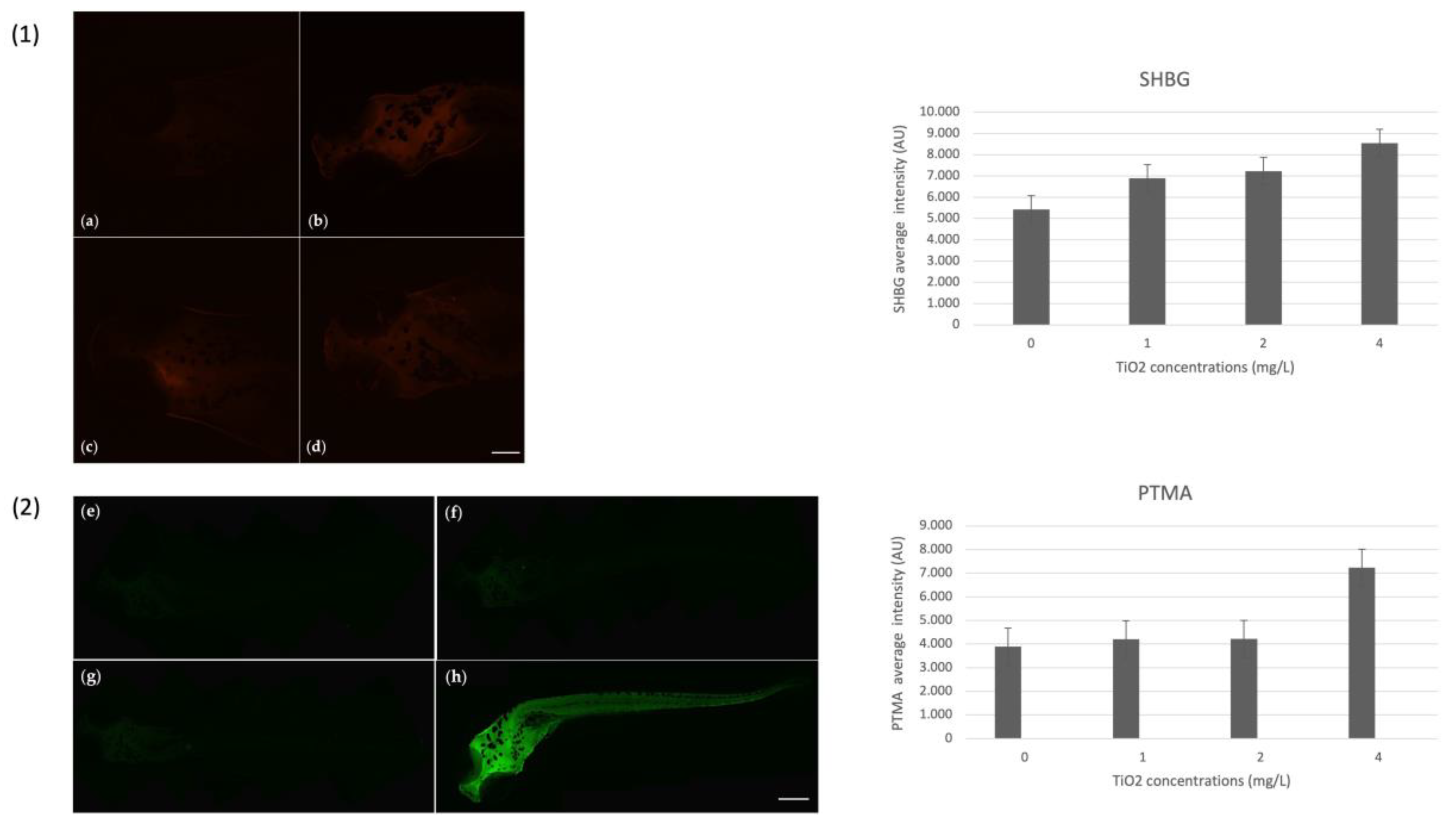 Nanomaterials 13 01783 g005 Nanomaterials 13 01783 g005