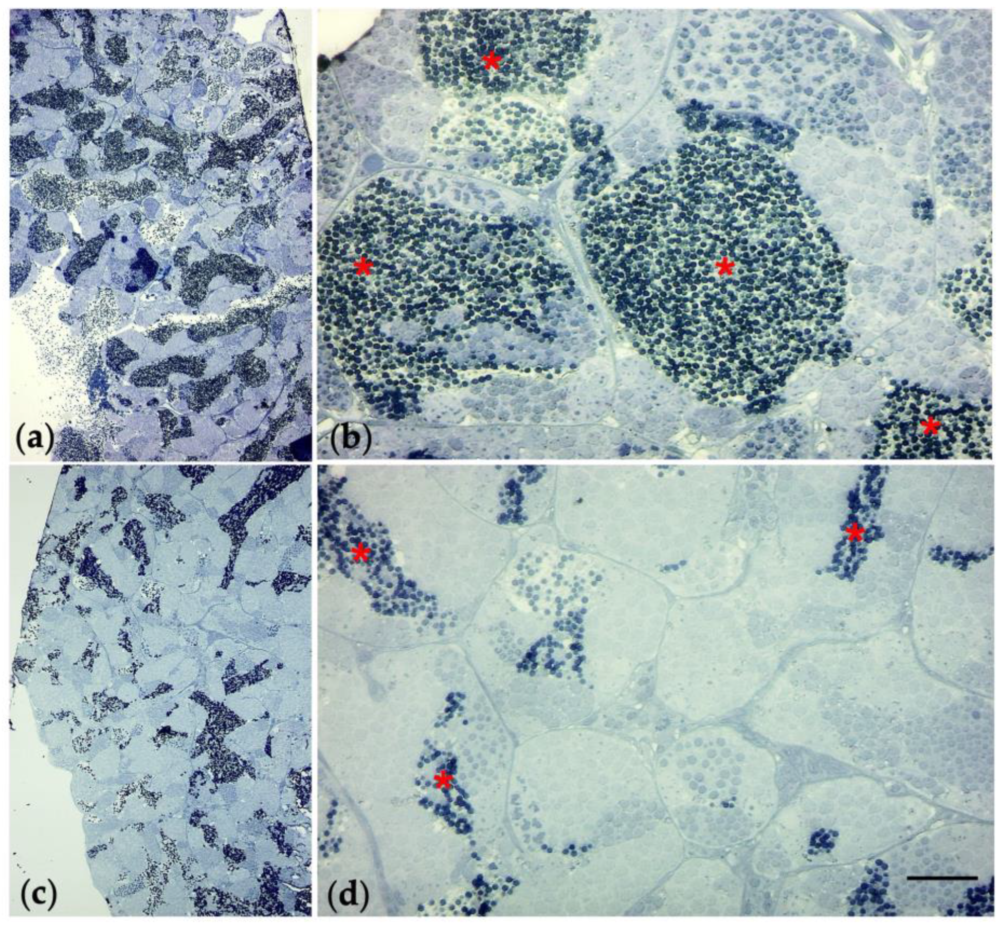 Nanomaterials 13 01783 g008 Nanomaterials 13 01783 g008