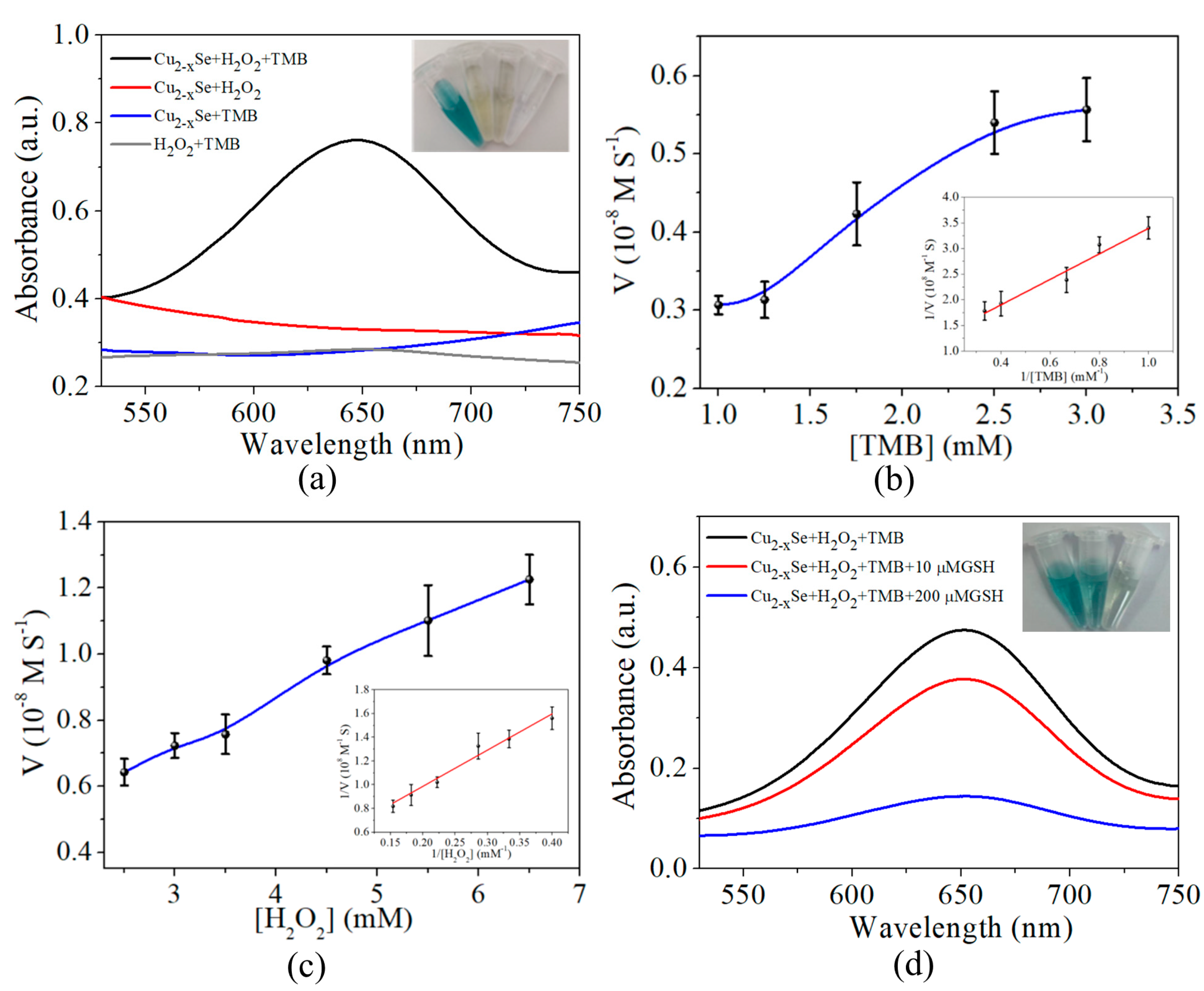 Nanomaterials 13 01787 g002 Nanomaterials 13 01787 g002