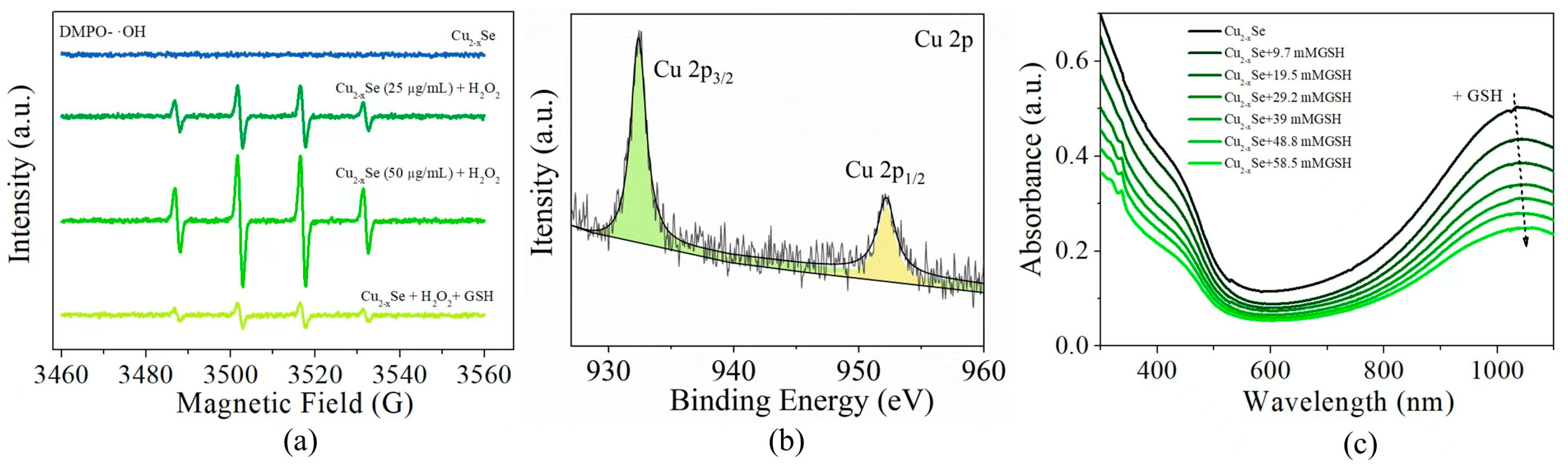 Nanomaterials 13 01787 g005 Nanomaterials 13 01787 g005