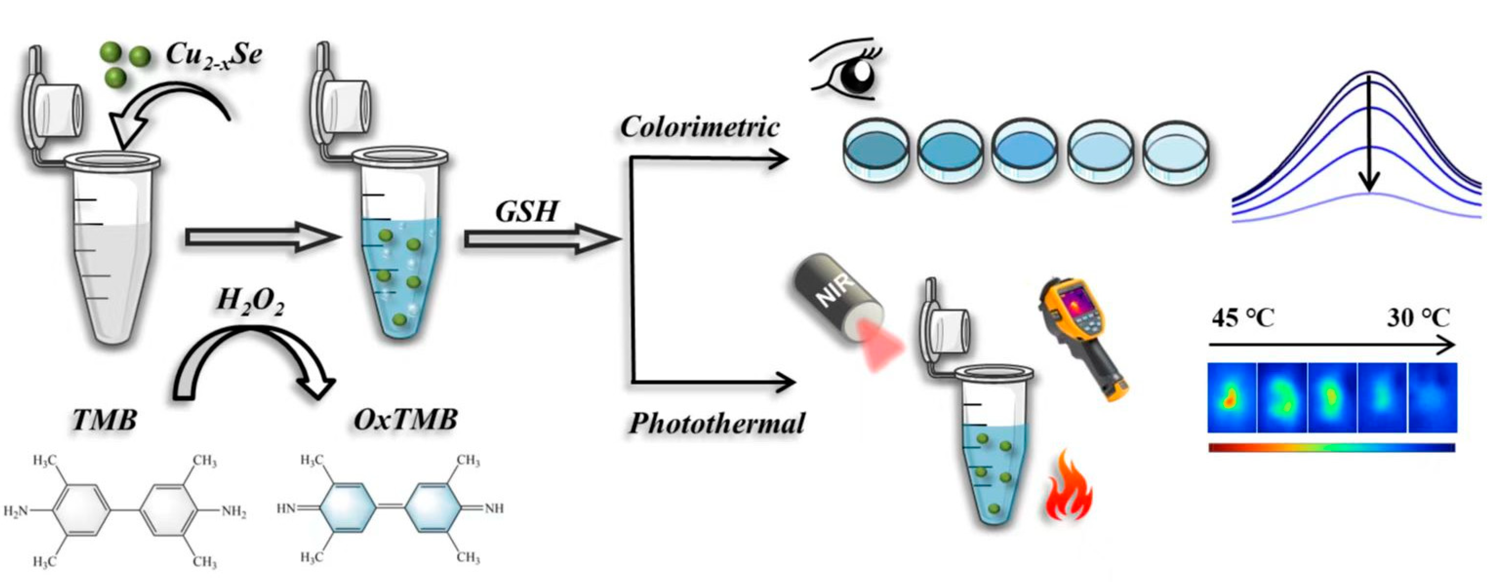 Nanomaterials 13 01787 sch001 Nanomaterials 13 01787 sch001