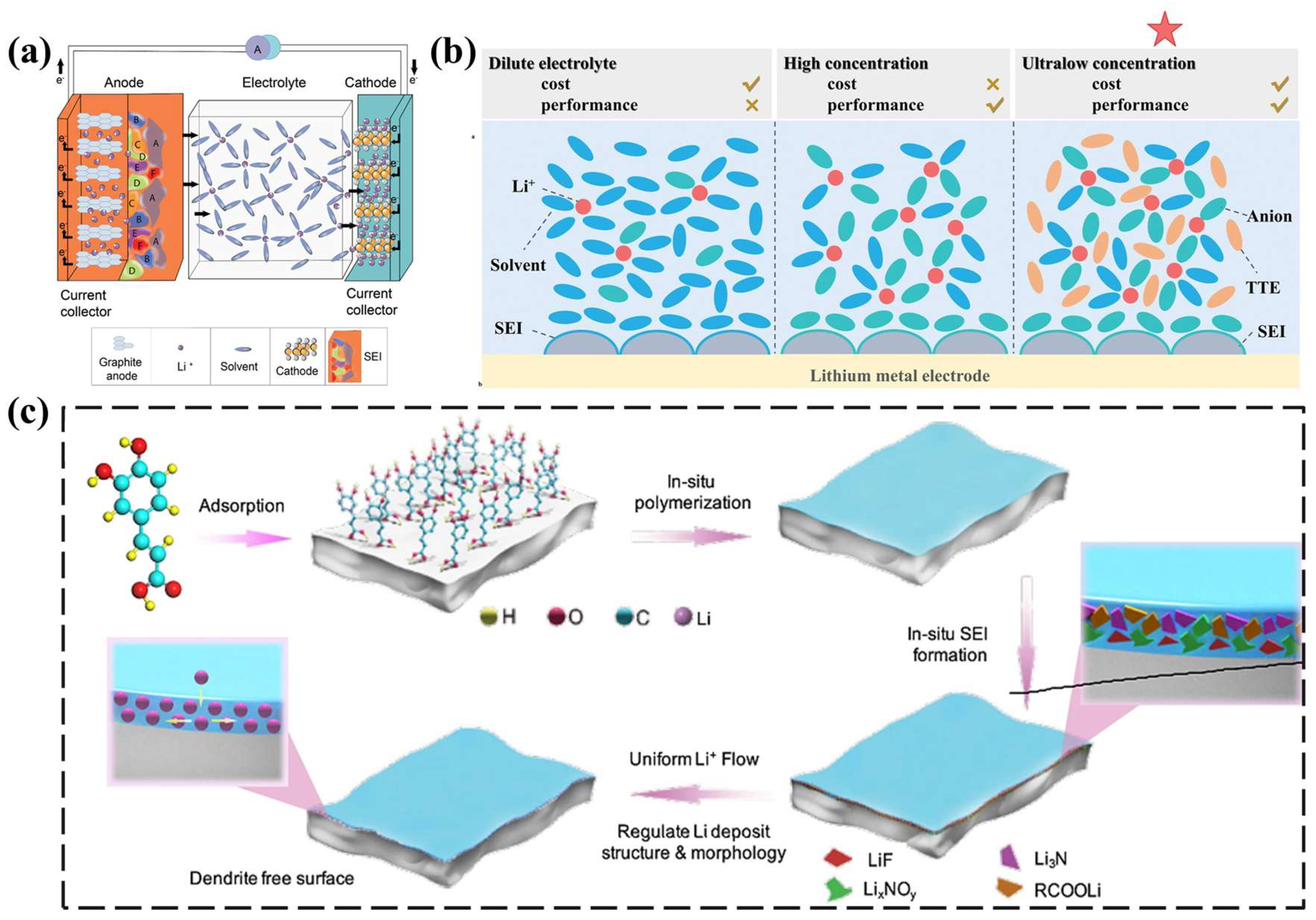 Nanomaterials 13 01789 g009 Nanomaterials 13 01789 g009