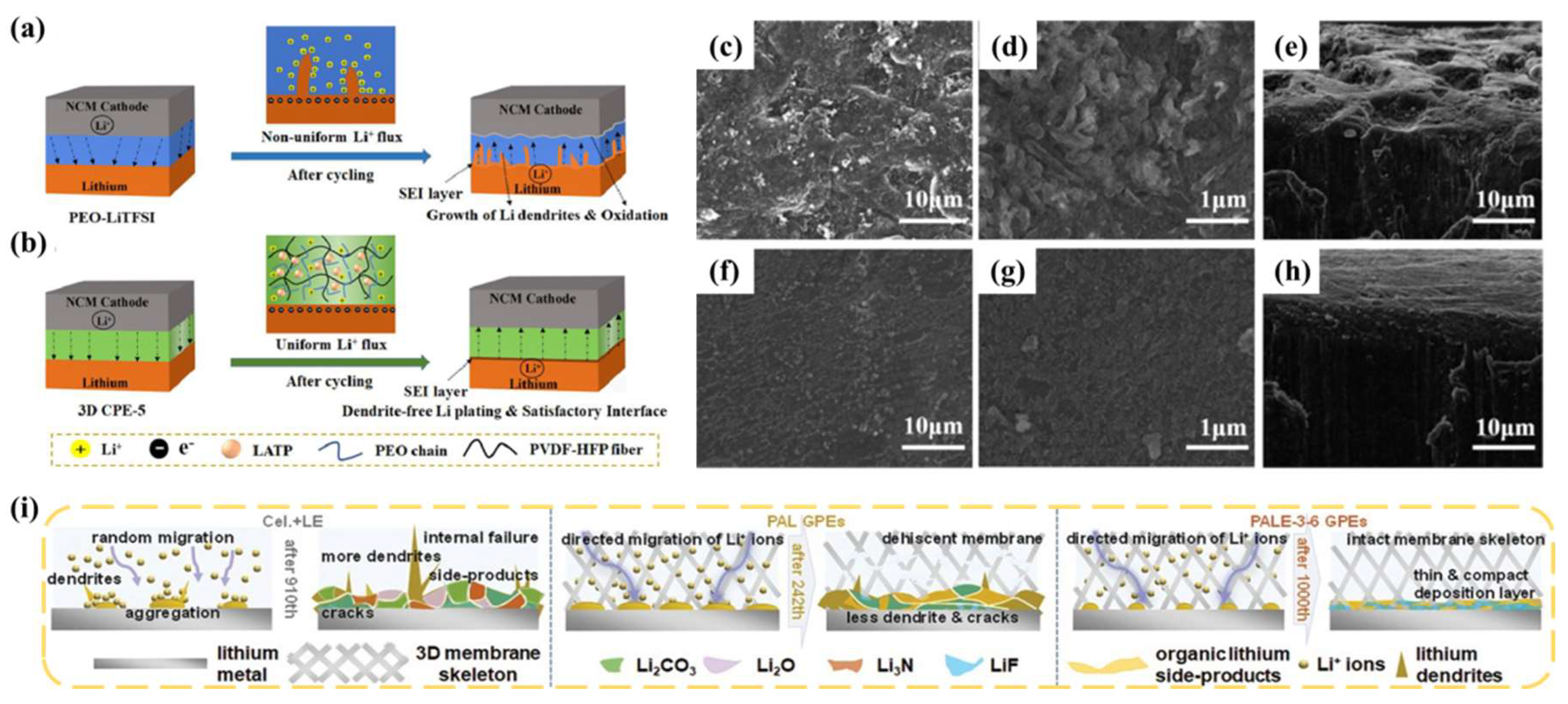 Nanomaterials 13 01789 g010 Nanomaterials 13 01789 g010