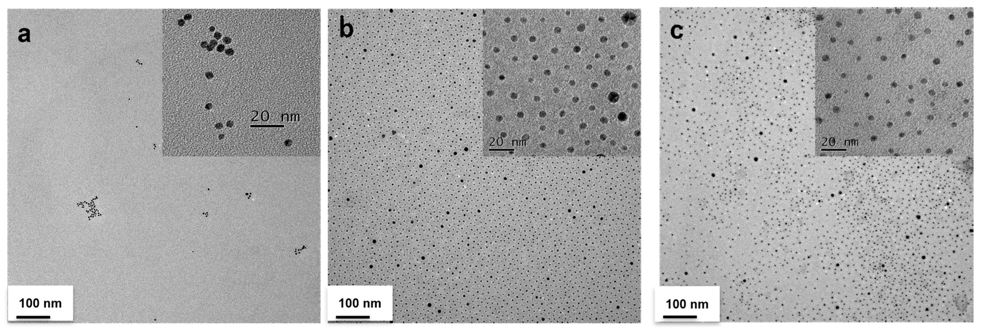 Nanomaterials 13 01790 g002