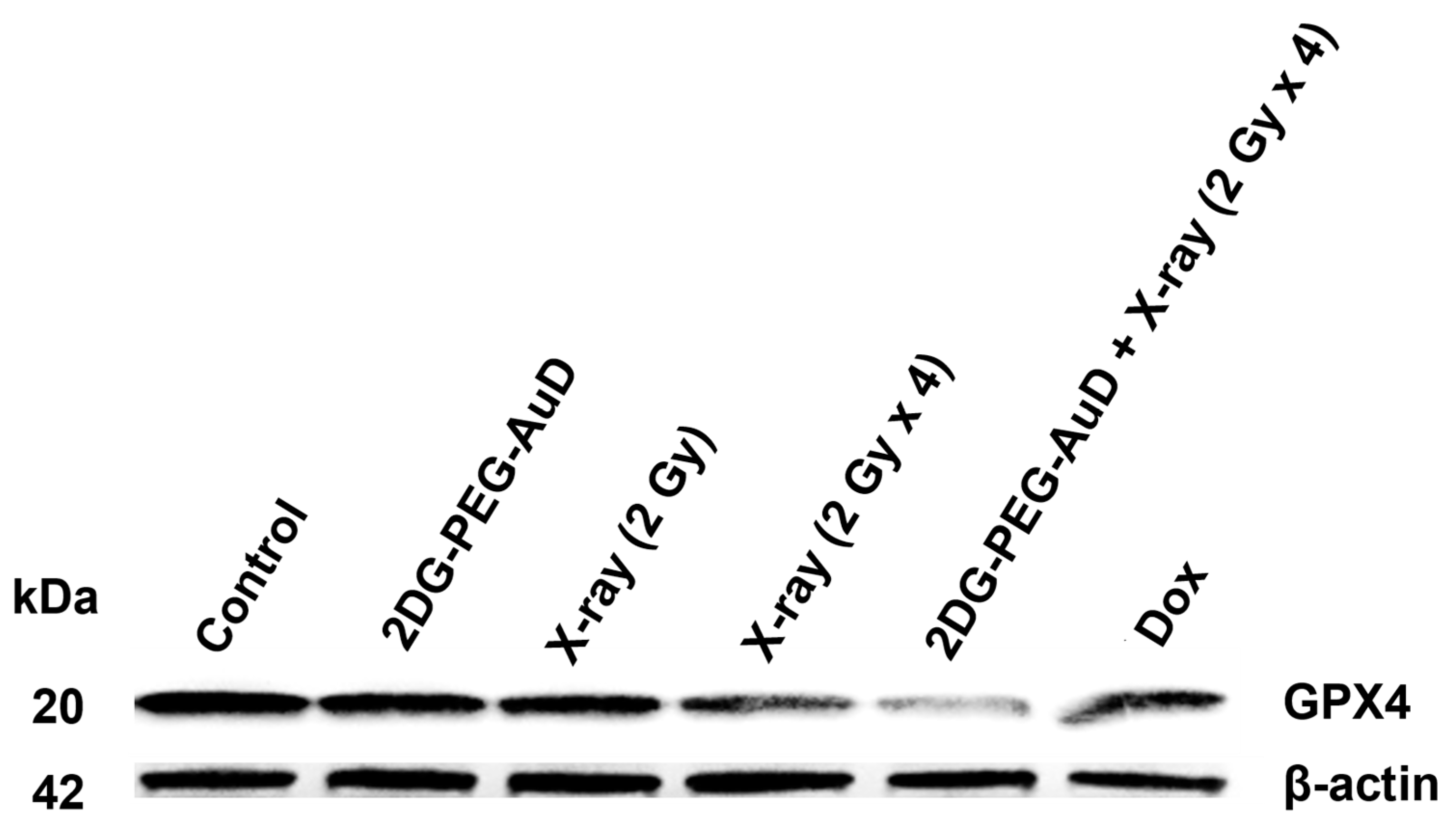 Nanomaterials 13 01790 g008