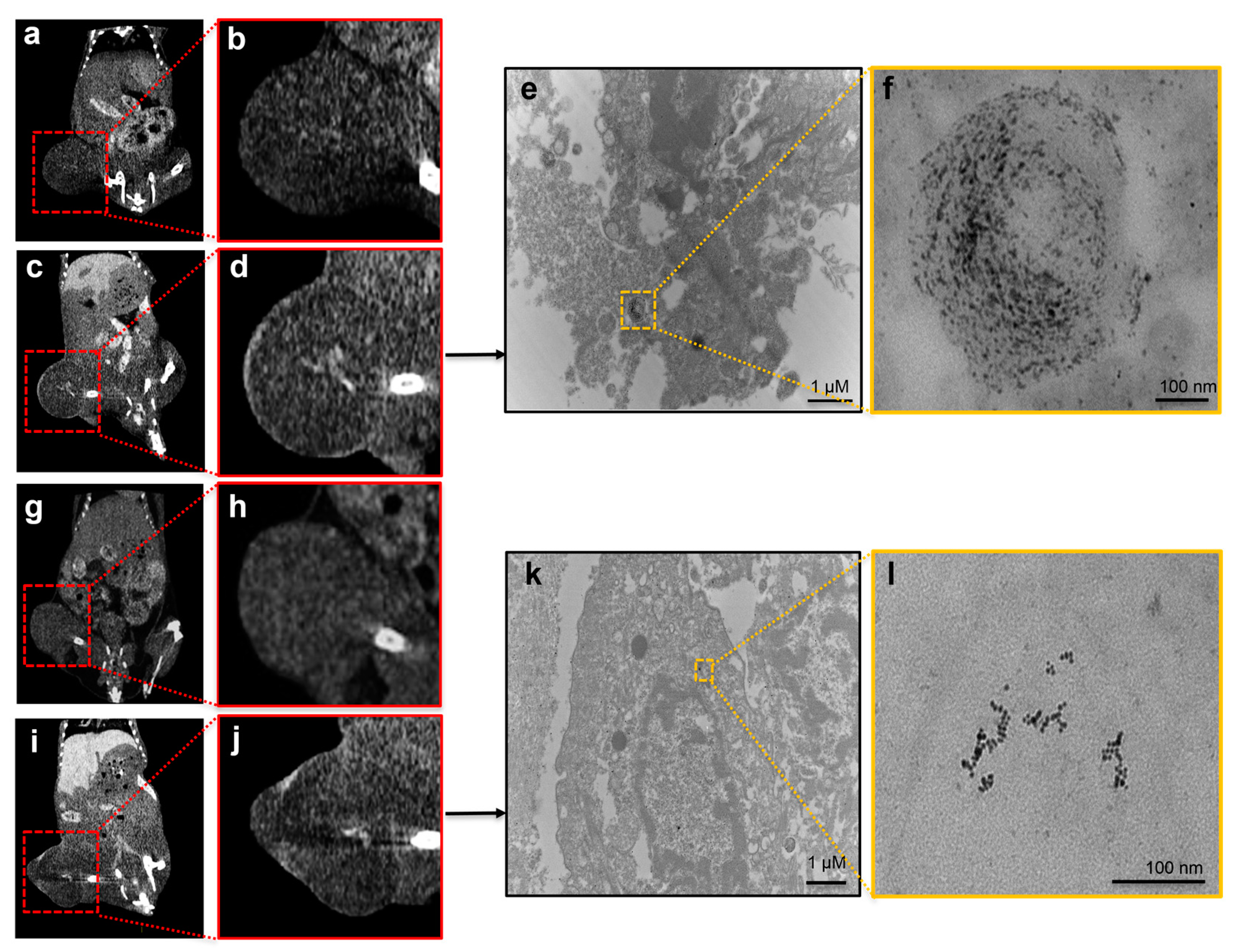 Nanomaterials 13 01790 g009