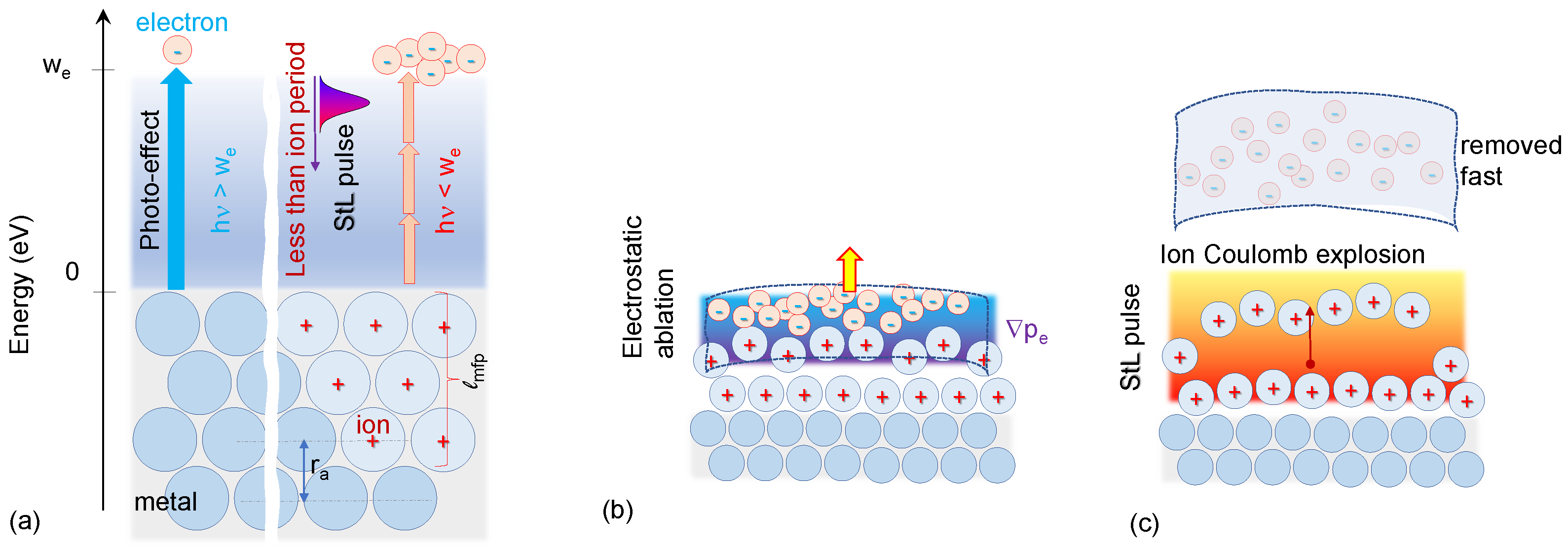 Nanomaterials 13 01796 g001