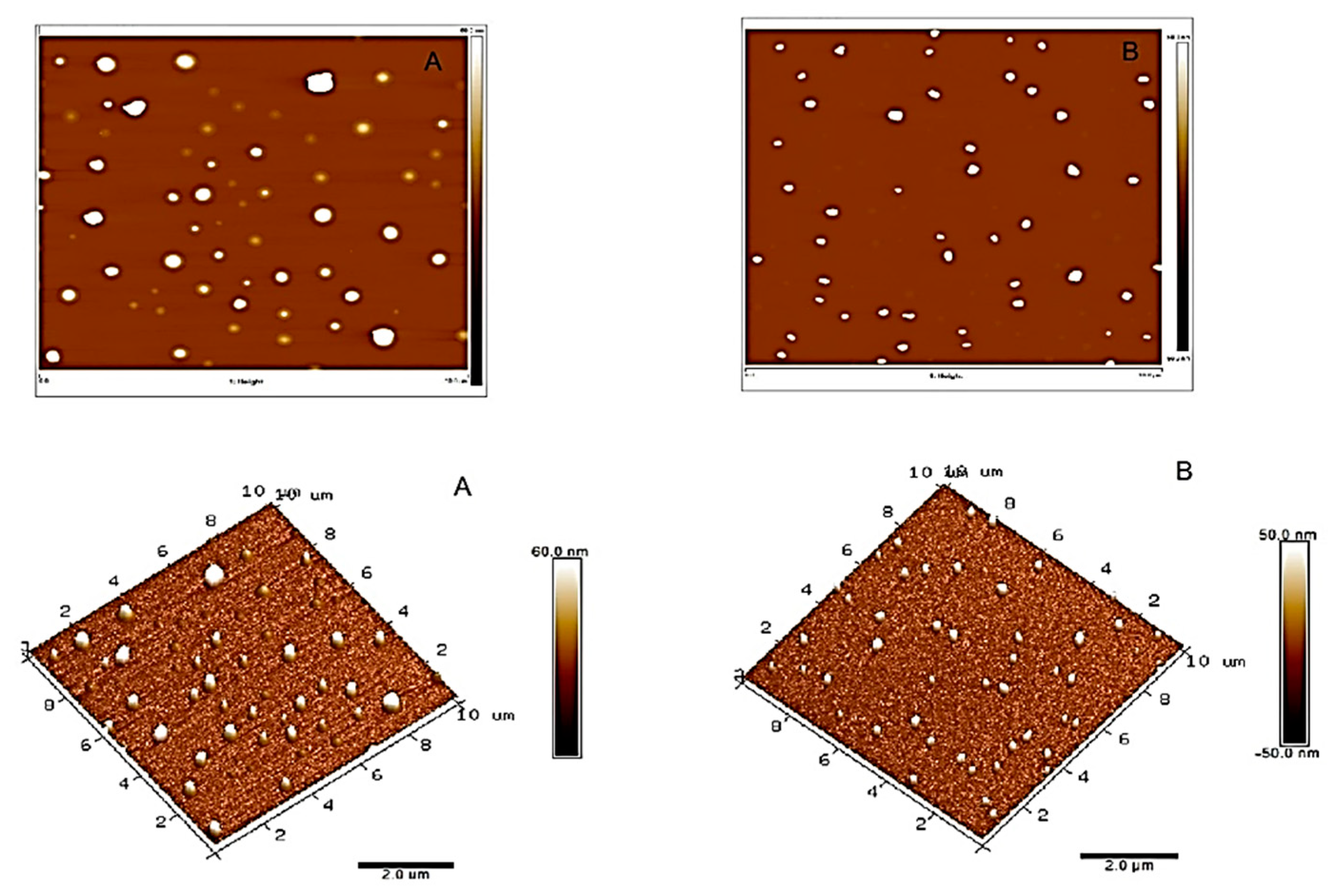 Nanomaterials 13 01800 g001a