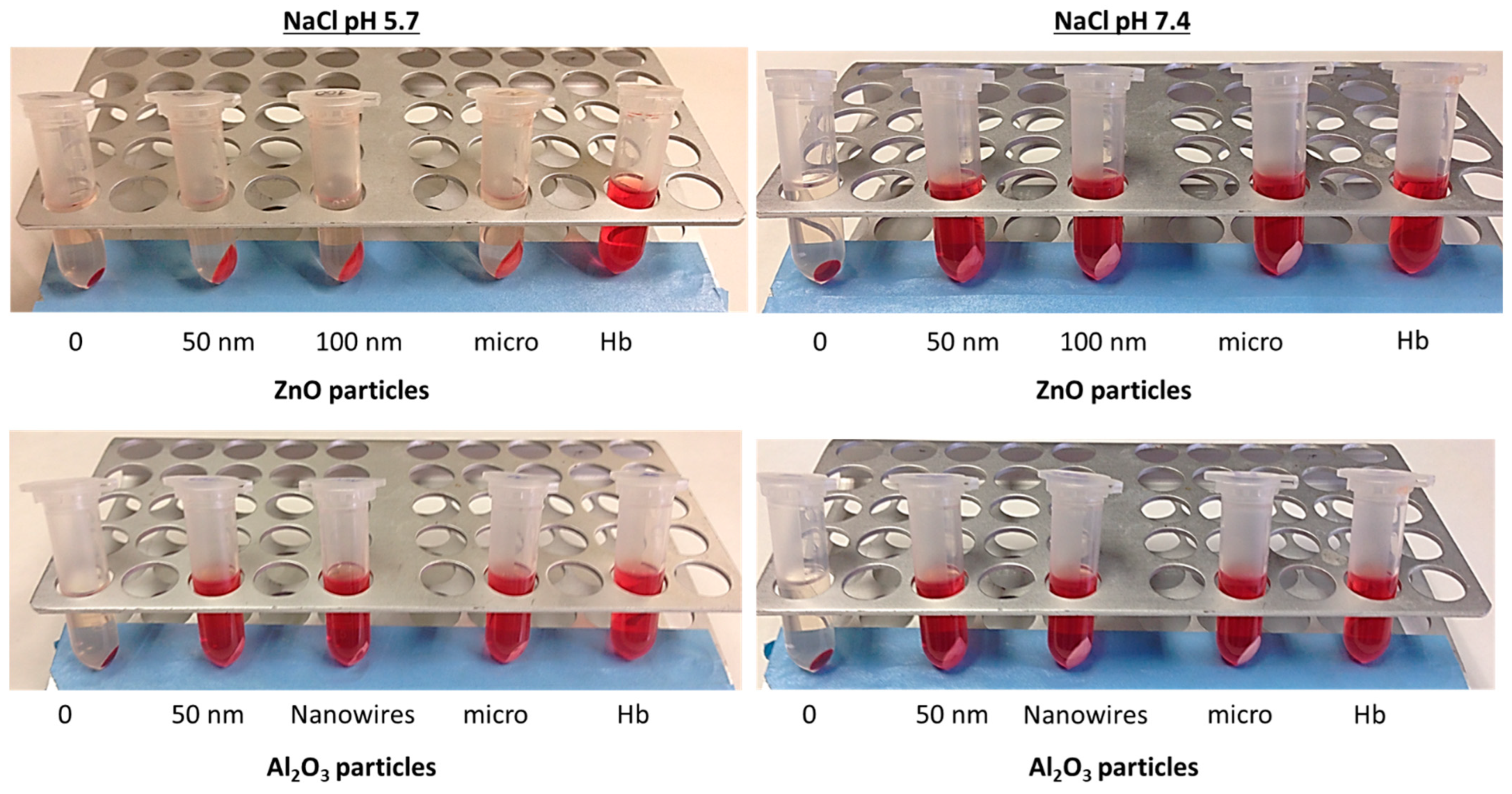 Nanomaterials 13 01800 g006