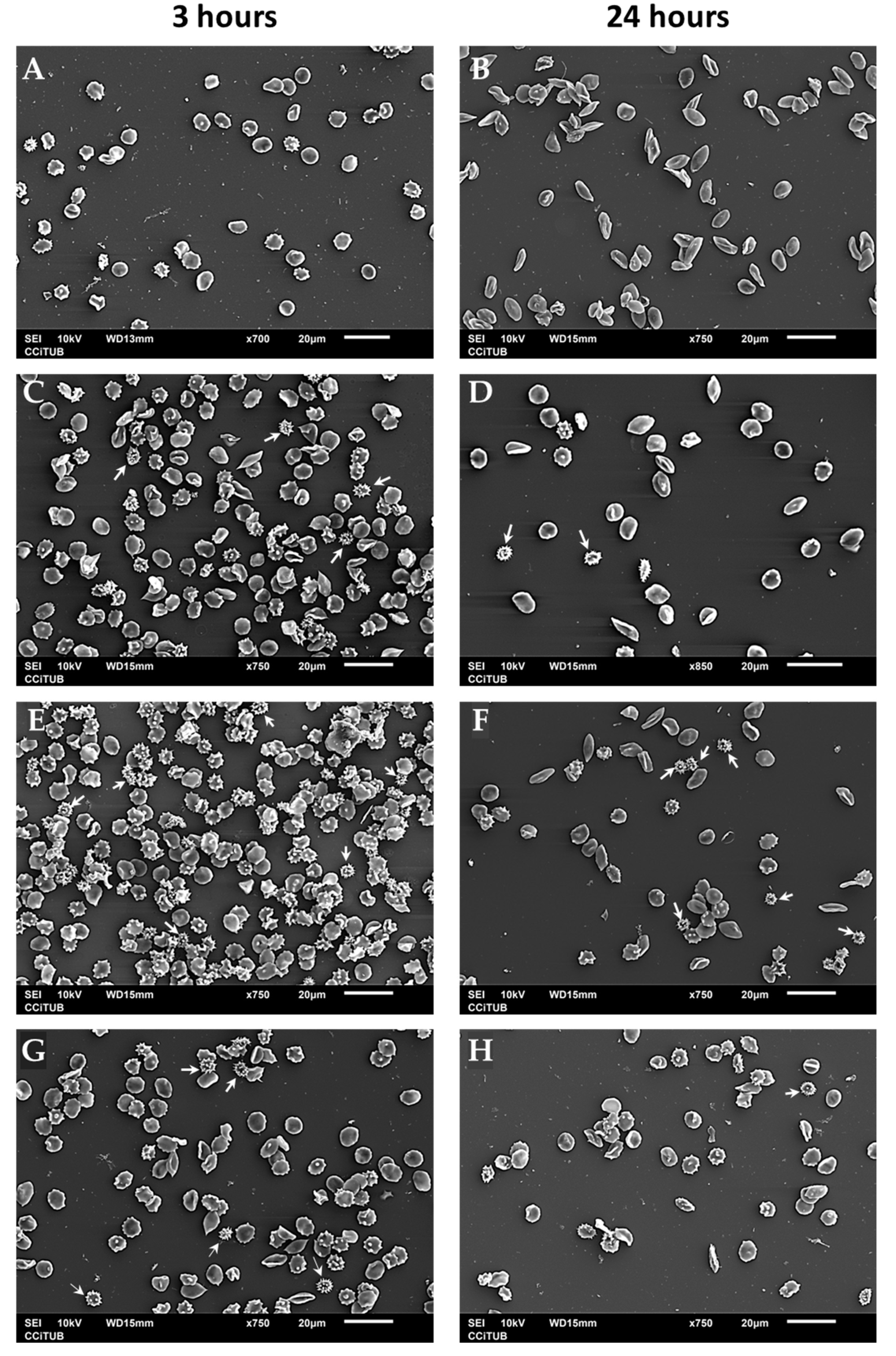 Nanomaterials 13 01800 g009