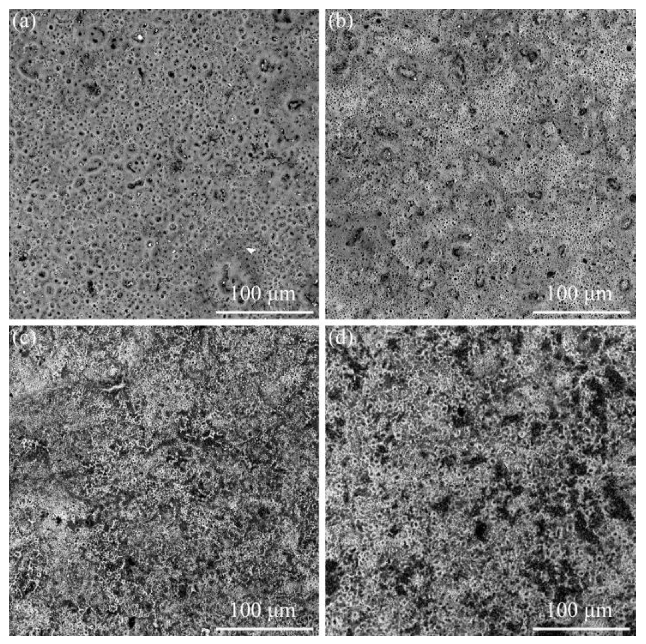 Nanomaterials 13 01802 g002 Nanomaterials 13 01802 g002