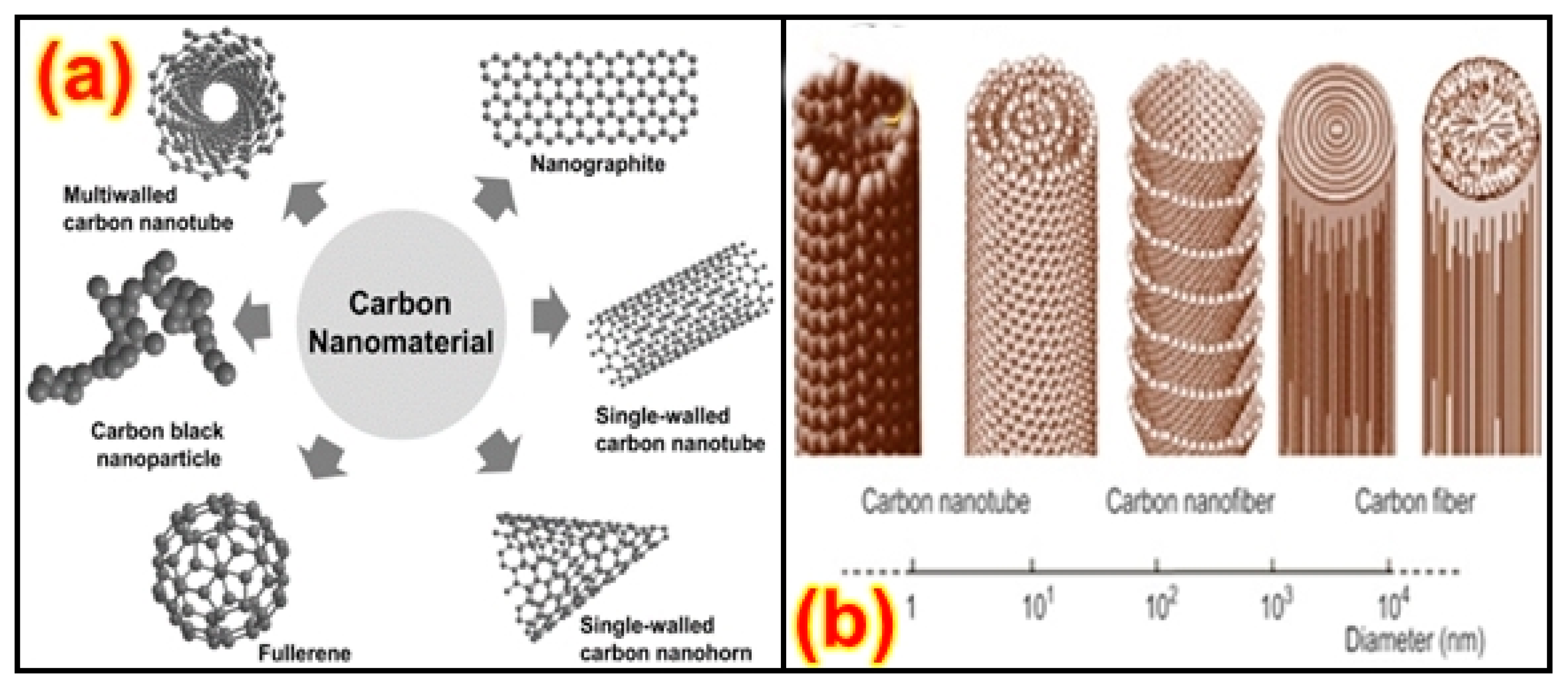 Nanomaterials 13 01803 g008