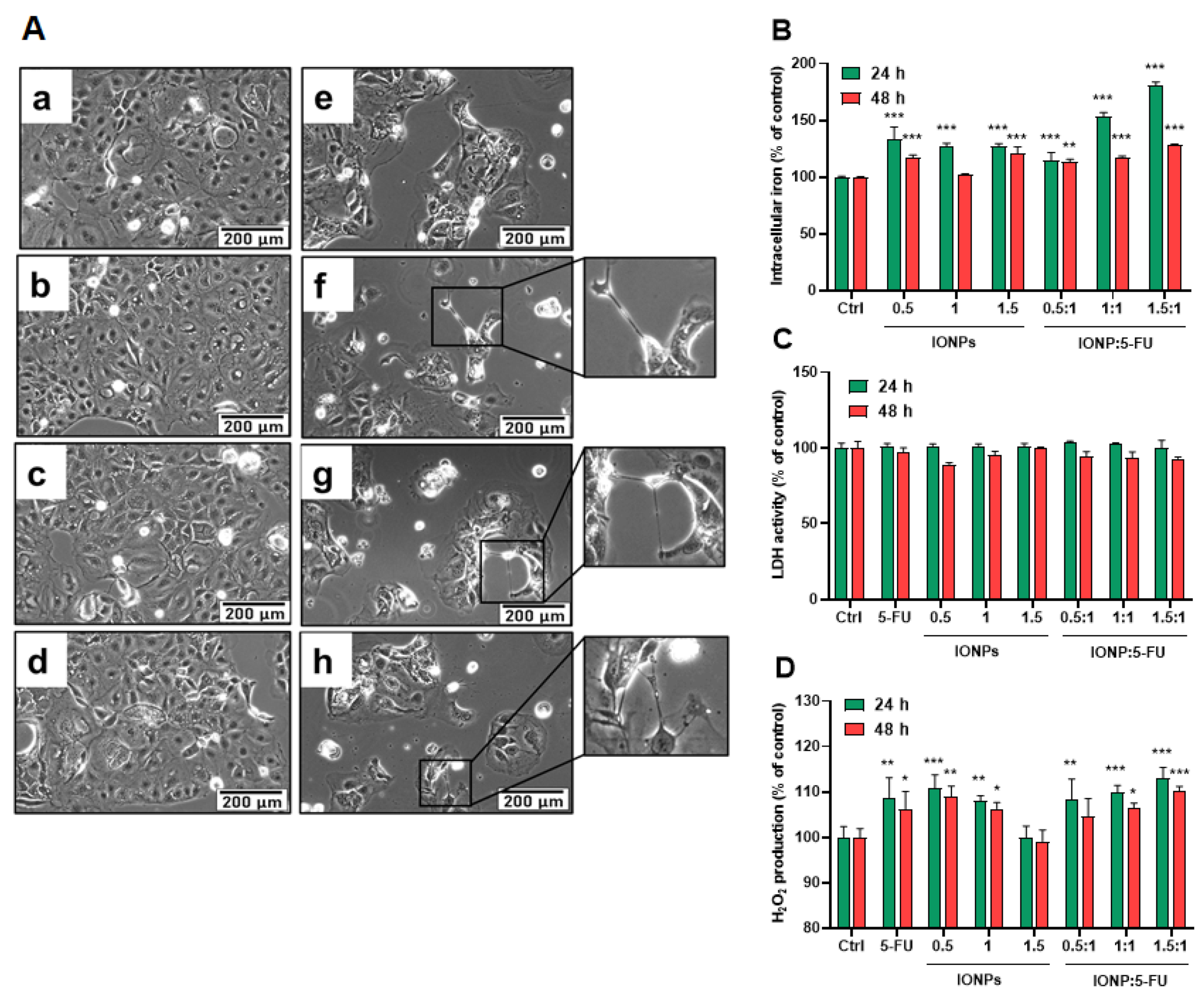 Nanomaterials 13 01811 g005