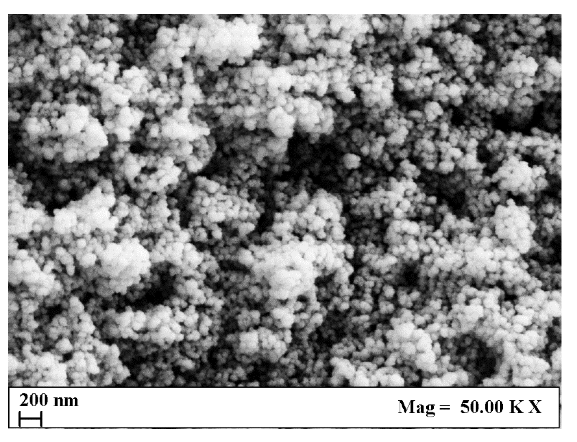 Nanomaterials 13 01812 g005