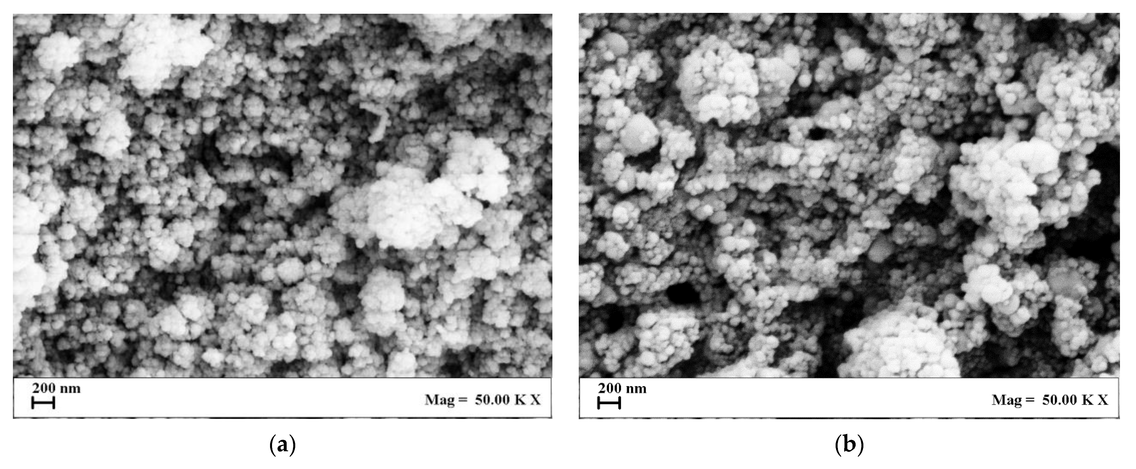 Nanomaterials 13 01812 g006