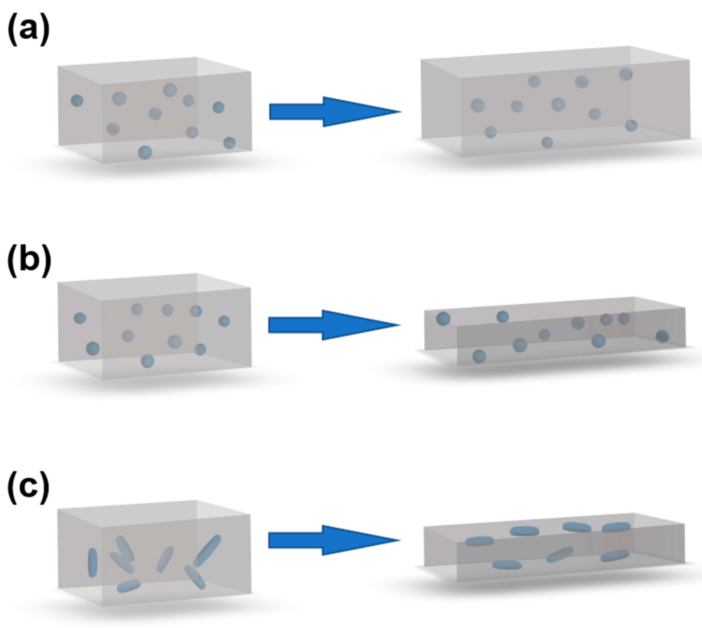 Nanomaterials 13 01813 g004