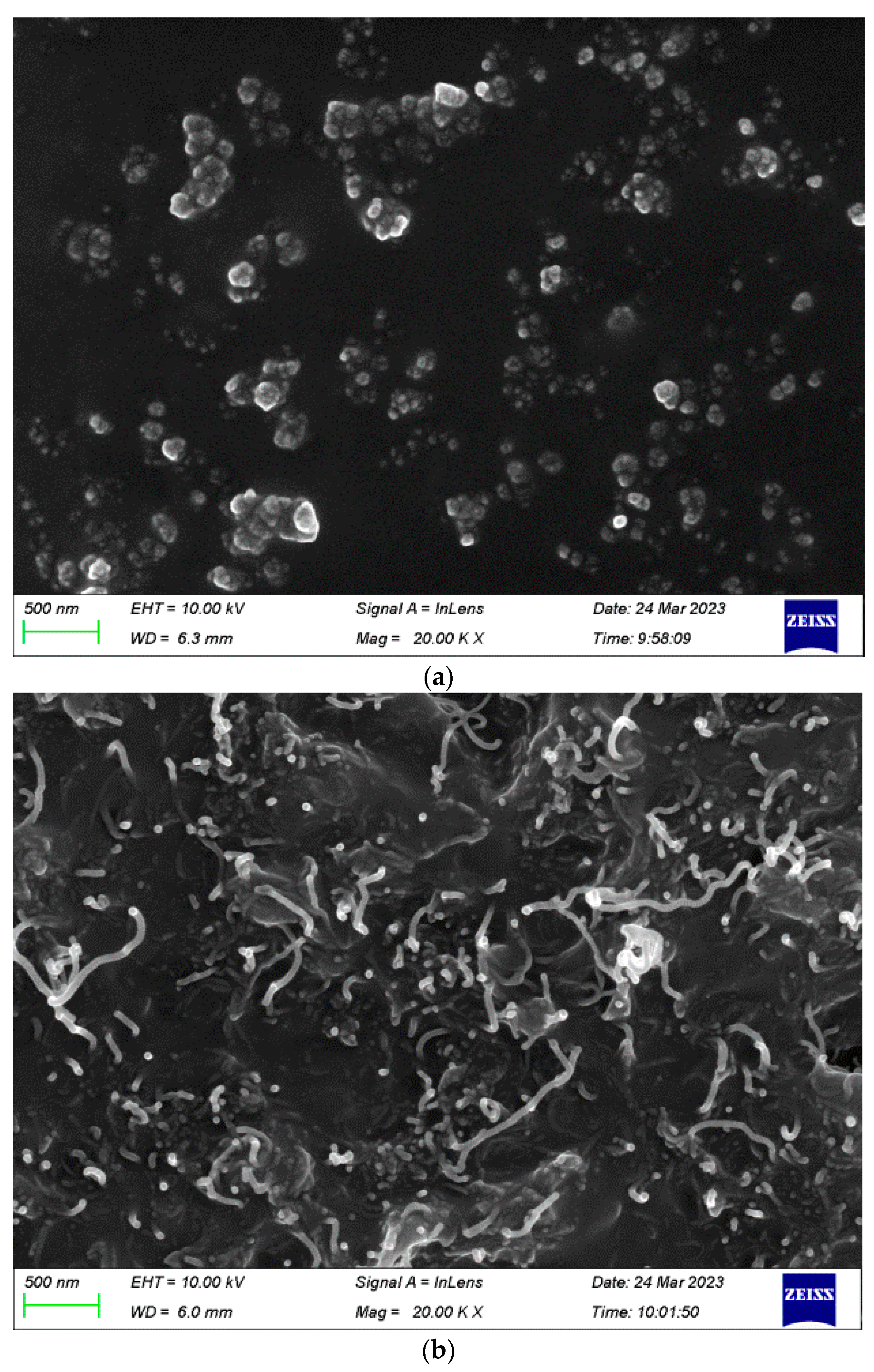 Nanomaterials 13 01813 g008
