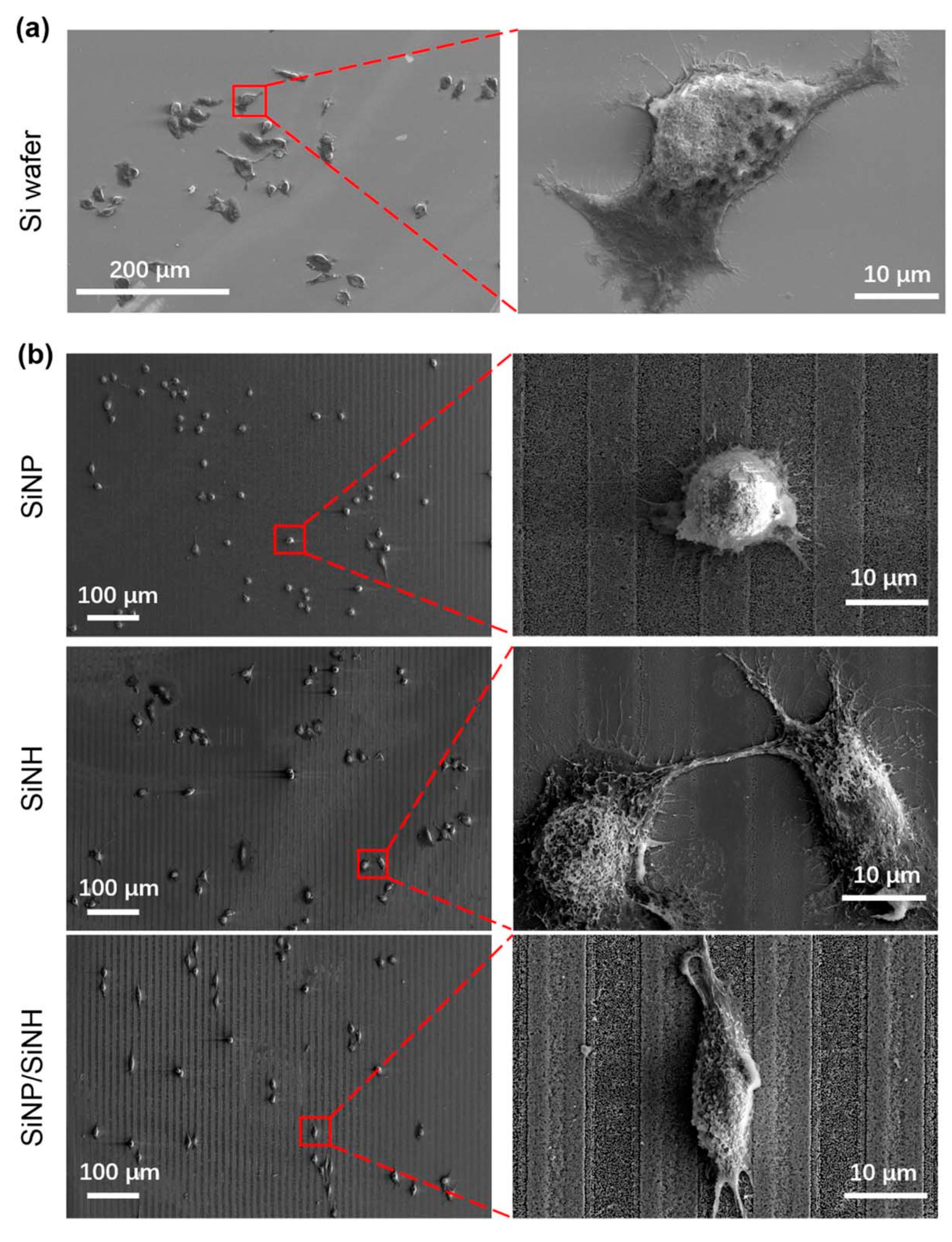 Nanomaterials 13 01818 g012 Nanomaterials 13 01818 g012