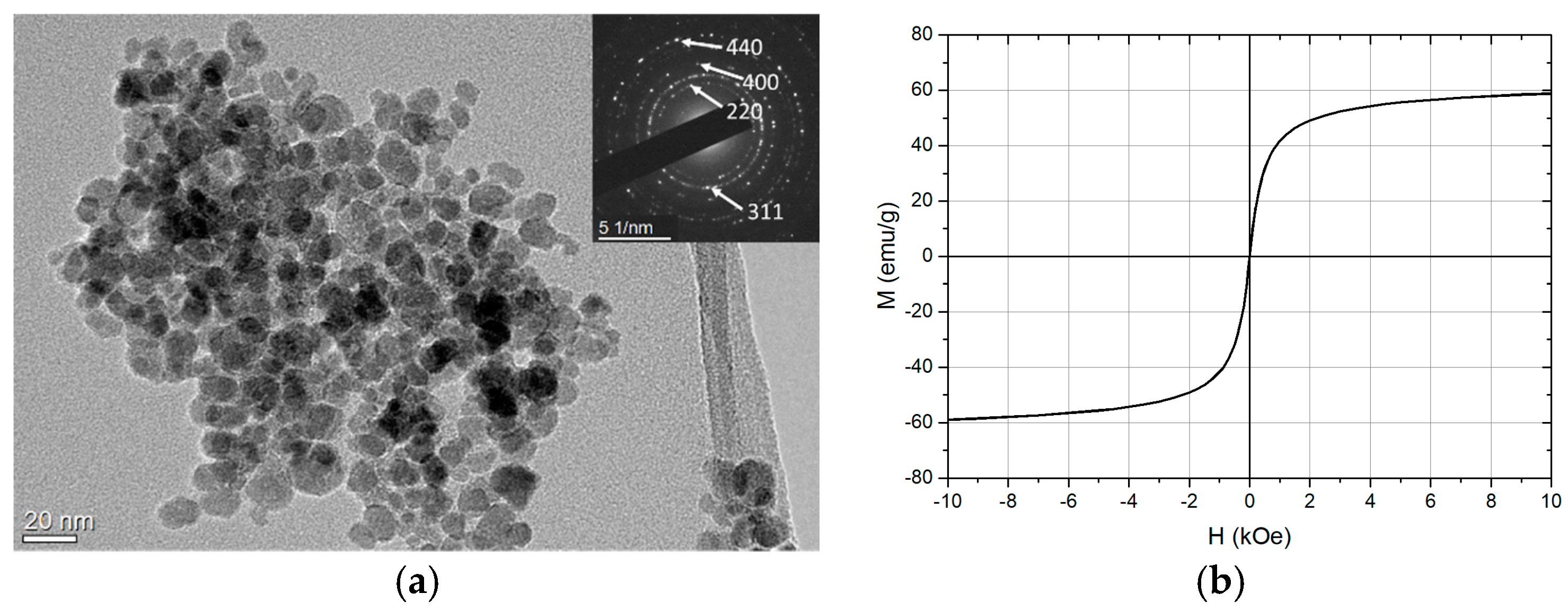 Nanomaterials 13 01822 g003