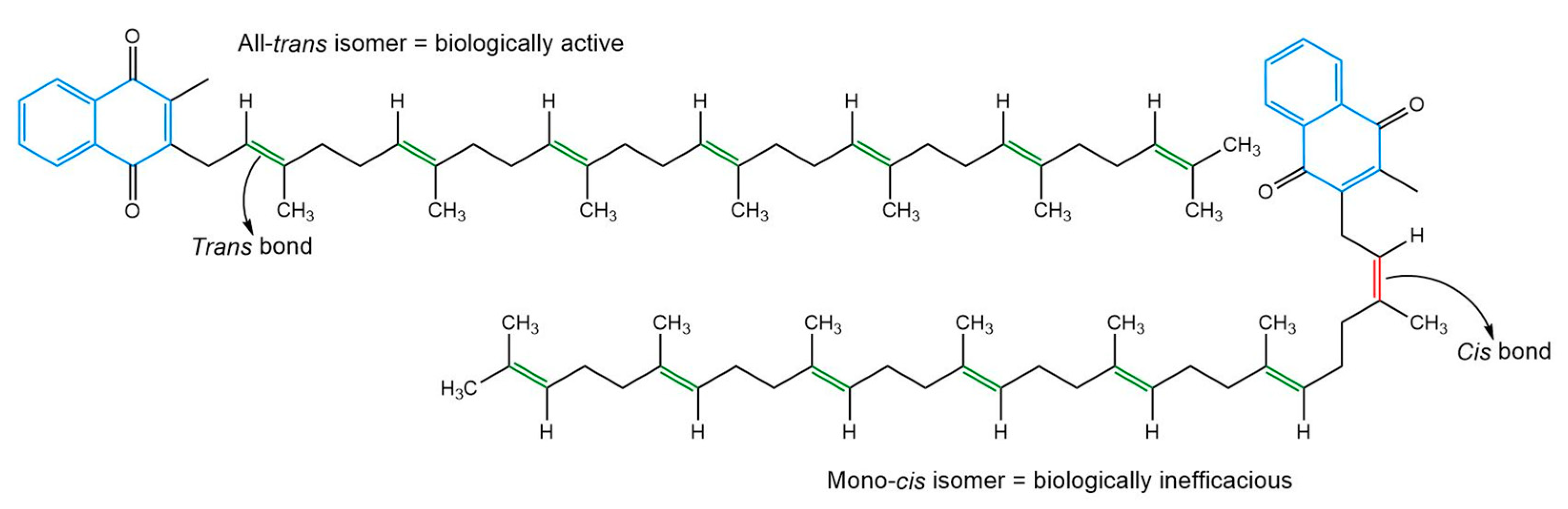 Nanomaterials 13 01825 g001 Nanomaterials 13 01825 g001