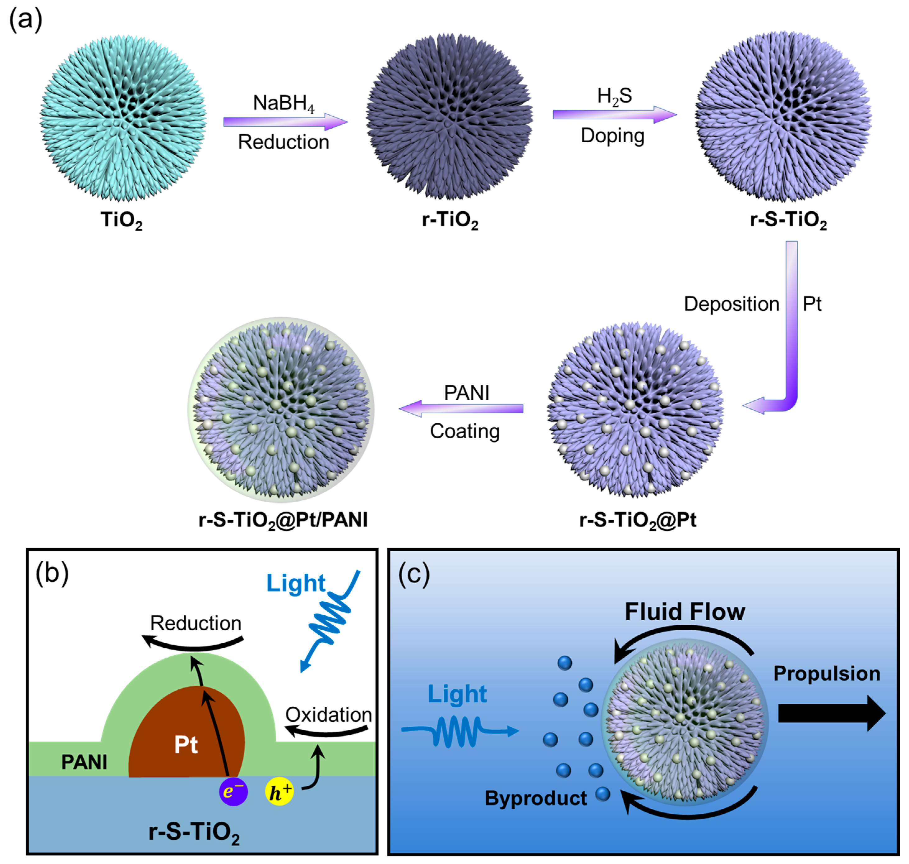 Nanomaterials 13 01827 g001