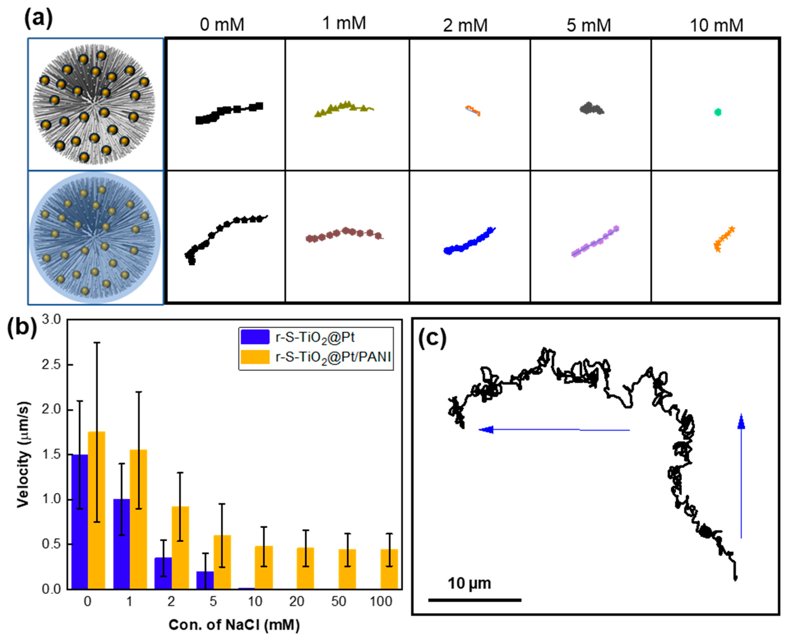 Nanomaterials 13 01827 g007