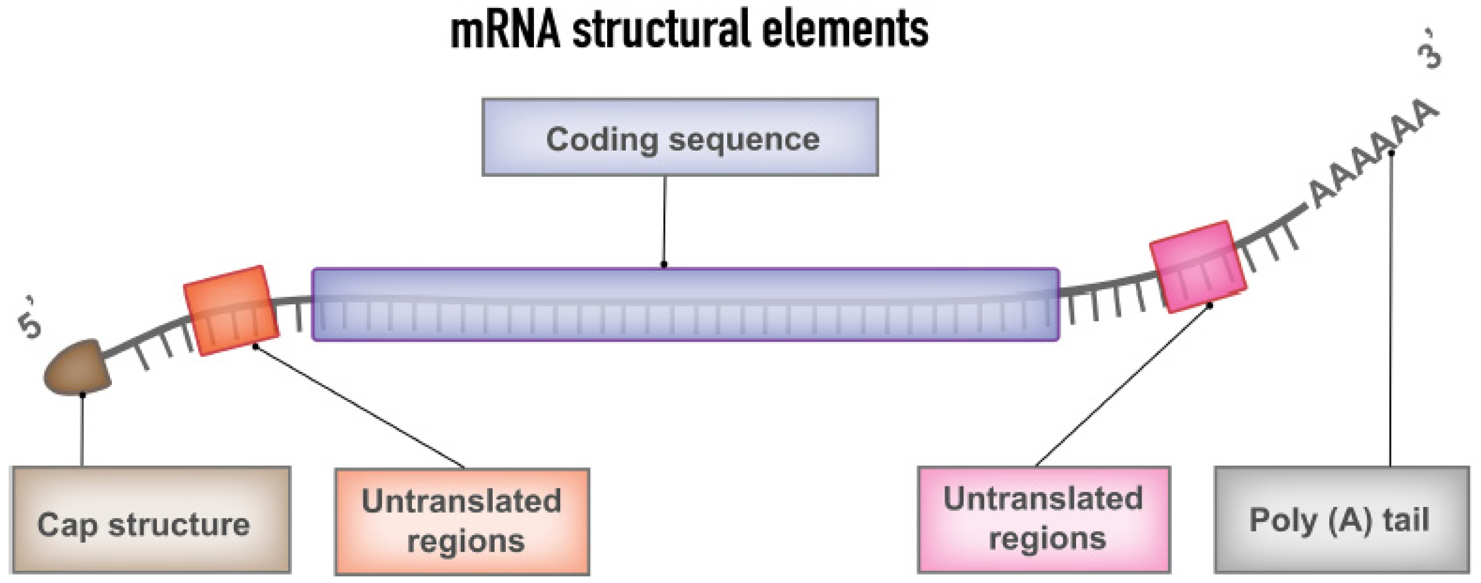 Nanomaterials 13 01828 g002