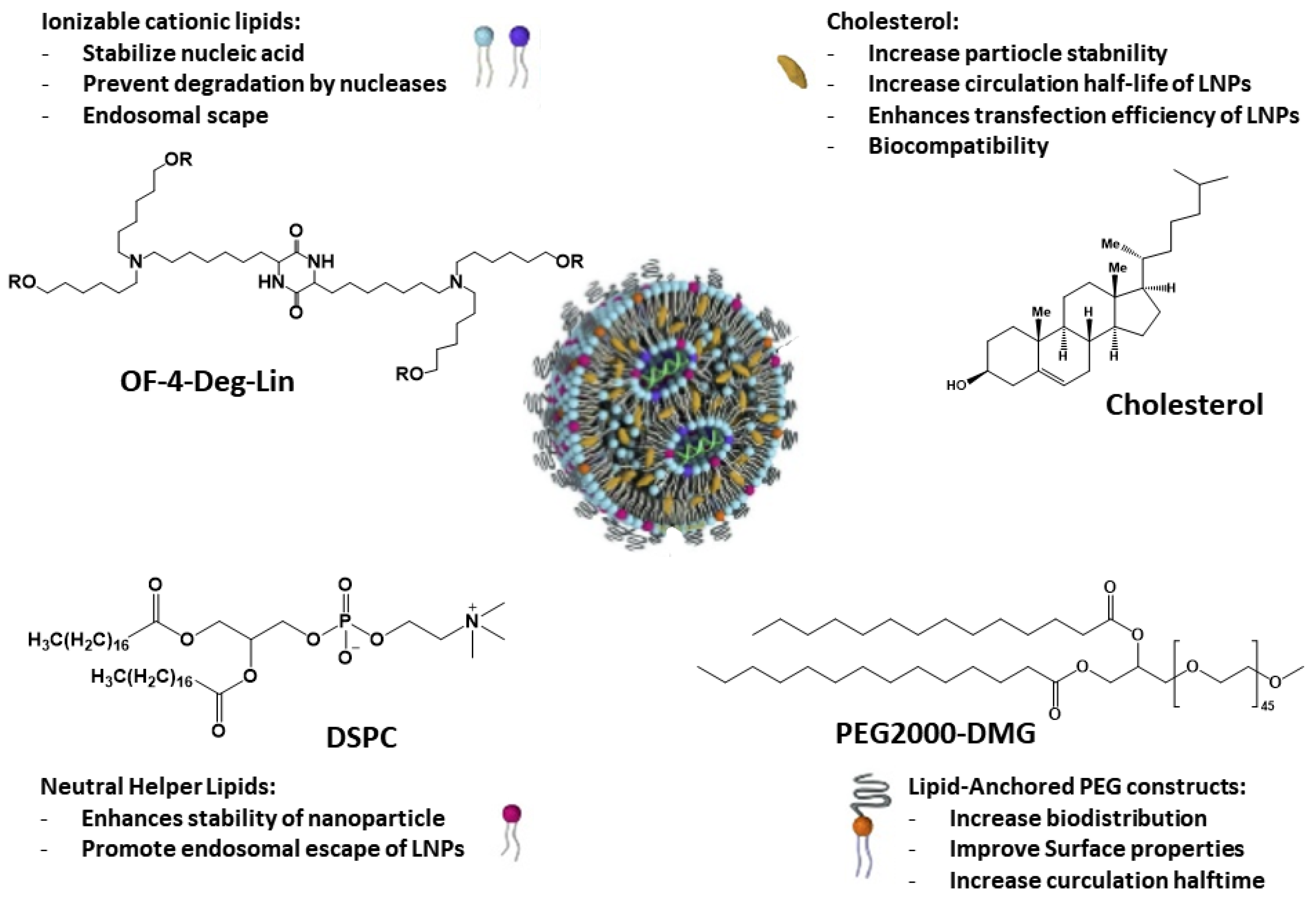 Nanomaterials 13 01828 g003