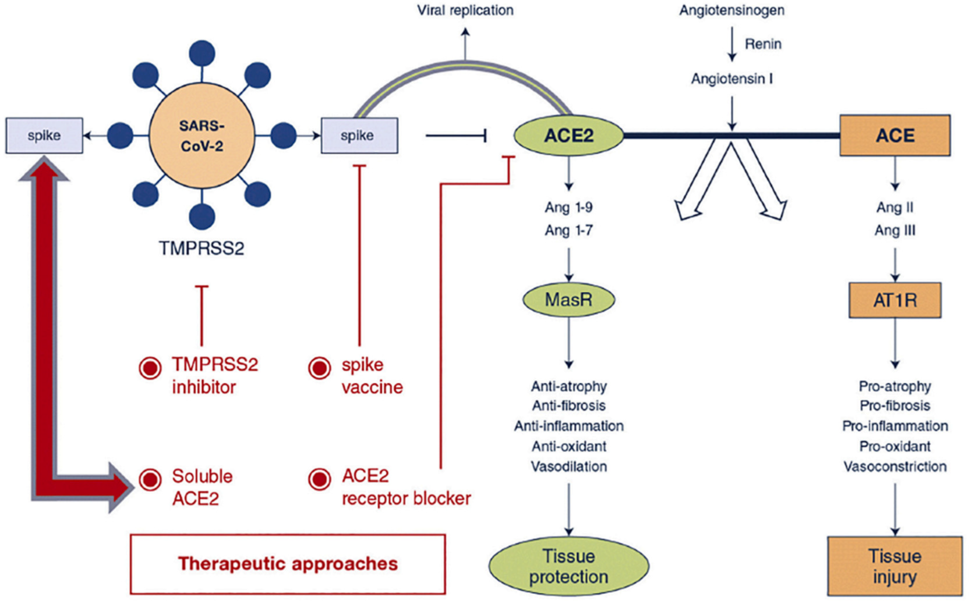 Nanomaterials 13 01828 g006