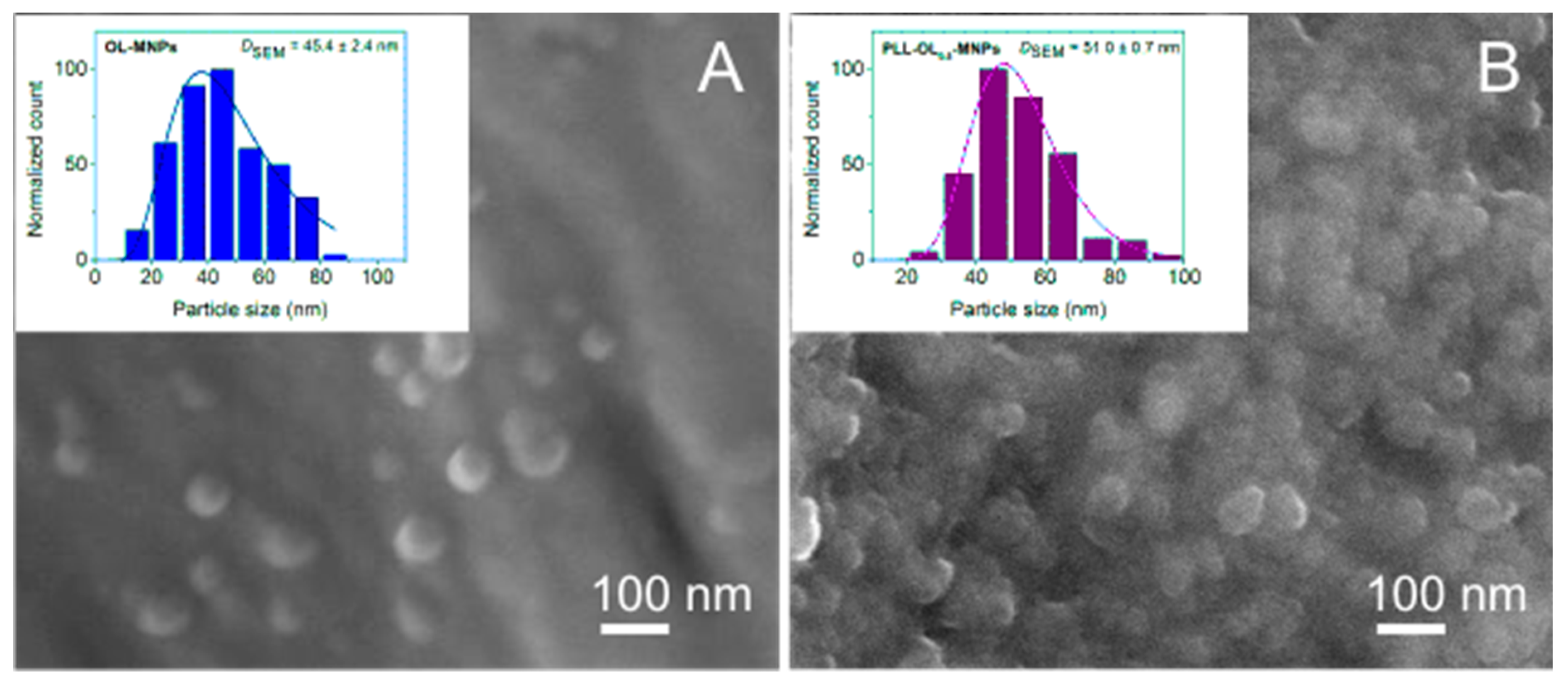 Nanomaterials 13 01831 g005